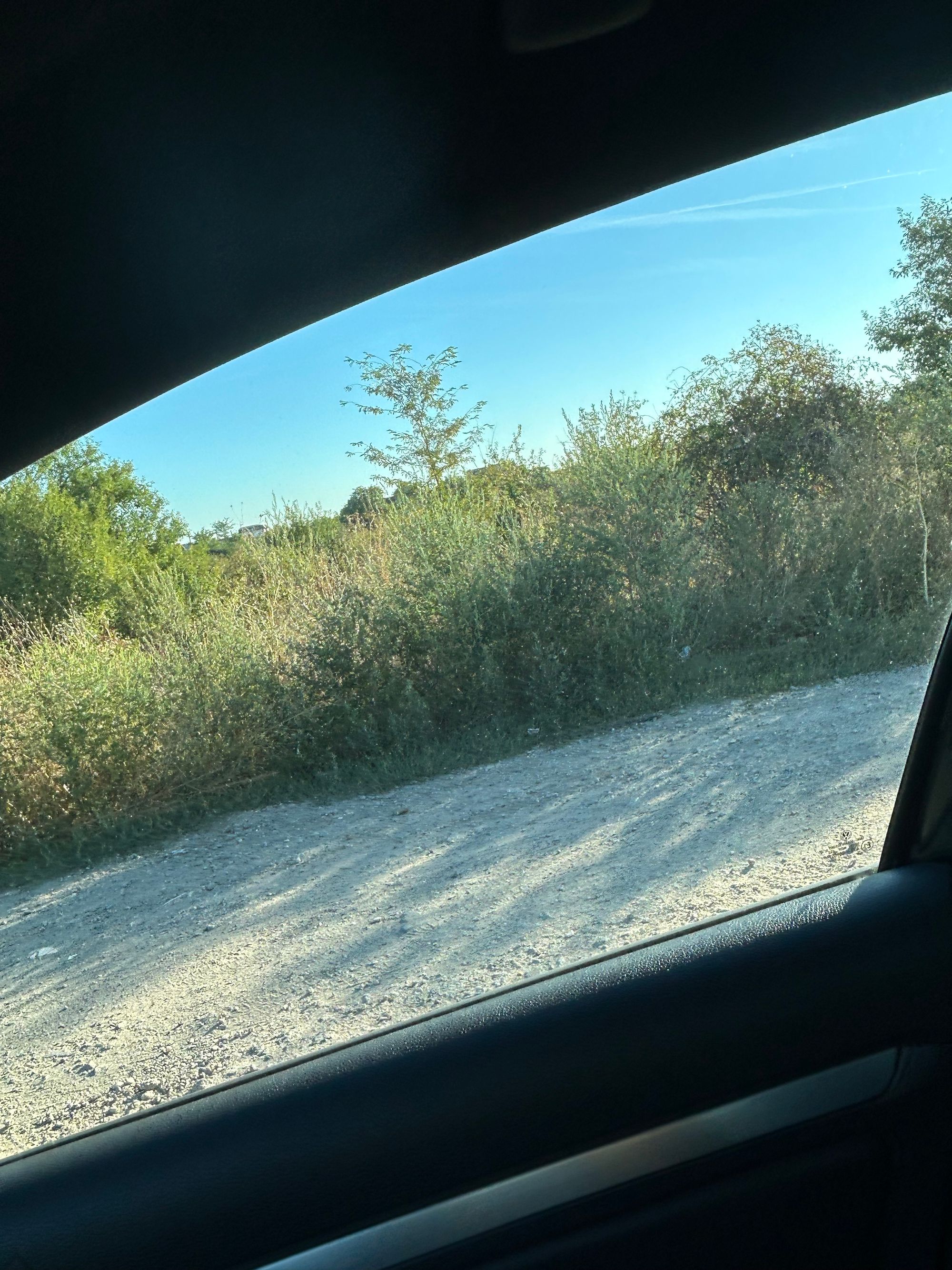 Ambrozie in Strada Livezii 55, București, Municipiul București