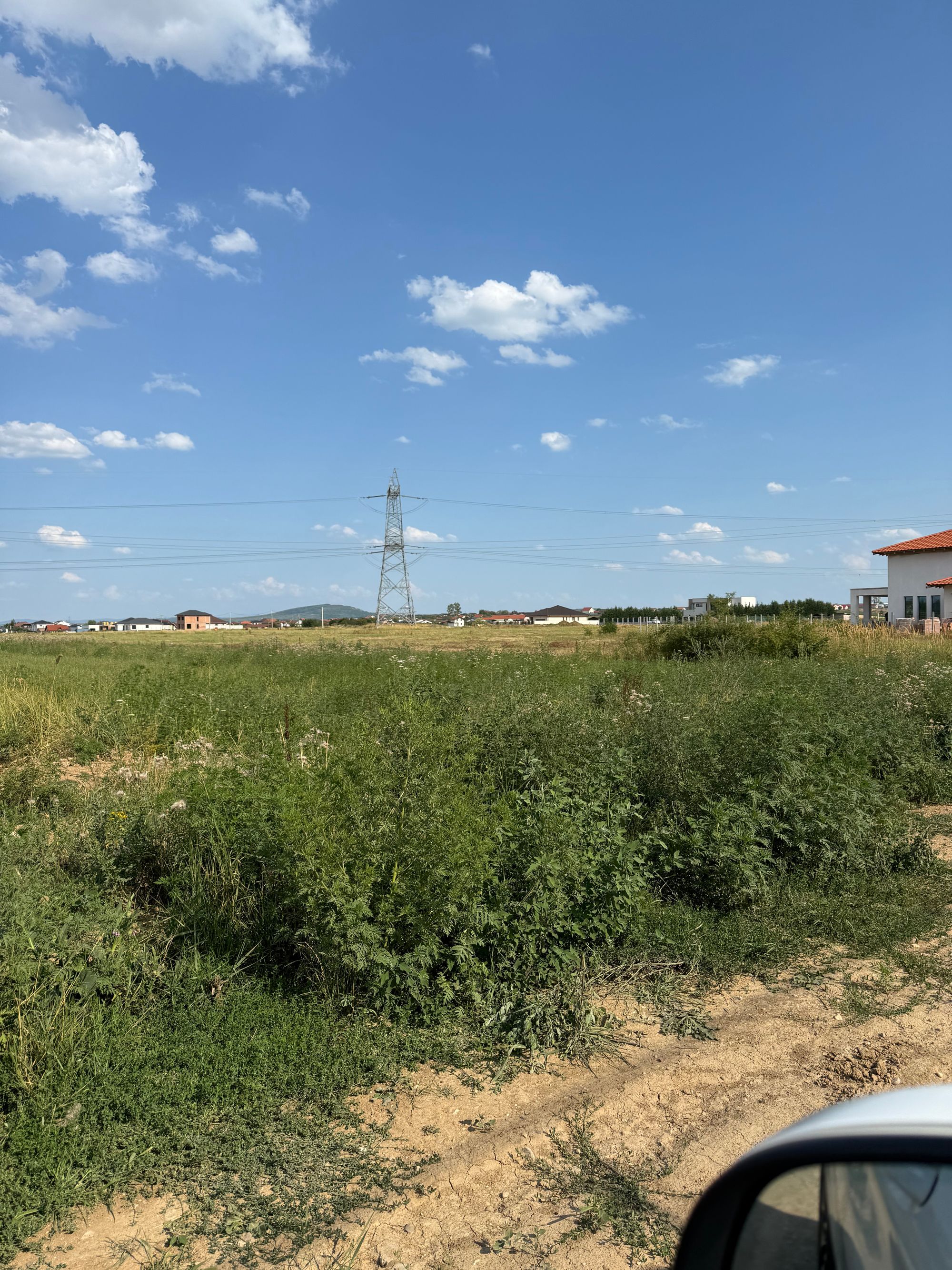 Ambrozie in Str. Lămâiței 4b, Cihei, Comuna Sânmartin, Județul Bihor