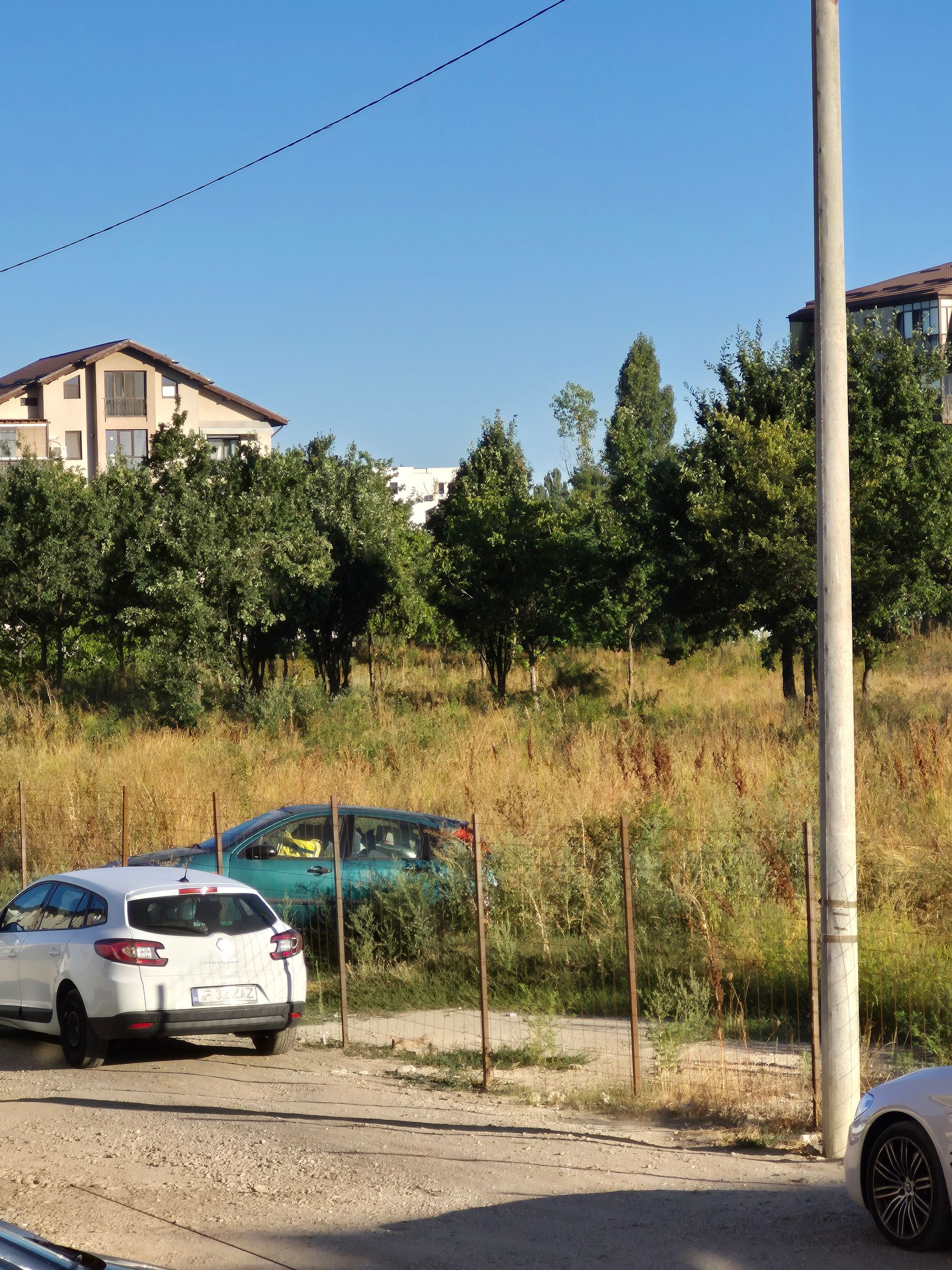 Ambrozie in Strada Cireșului 16, București, Comuna Dobroești, Județul Ilfov
