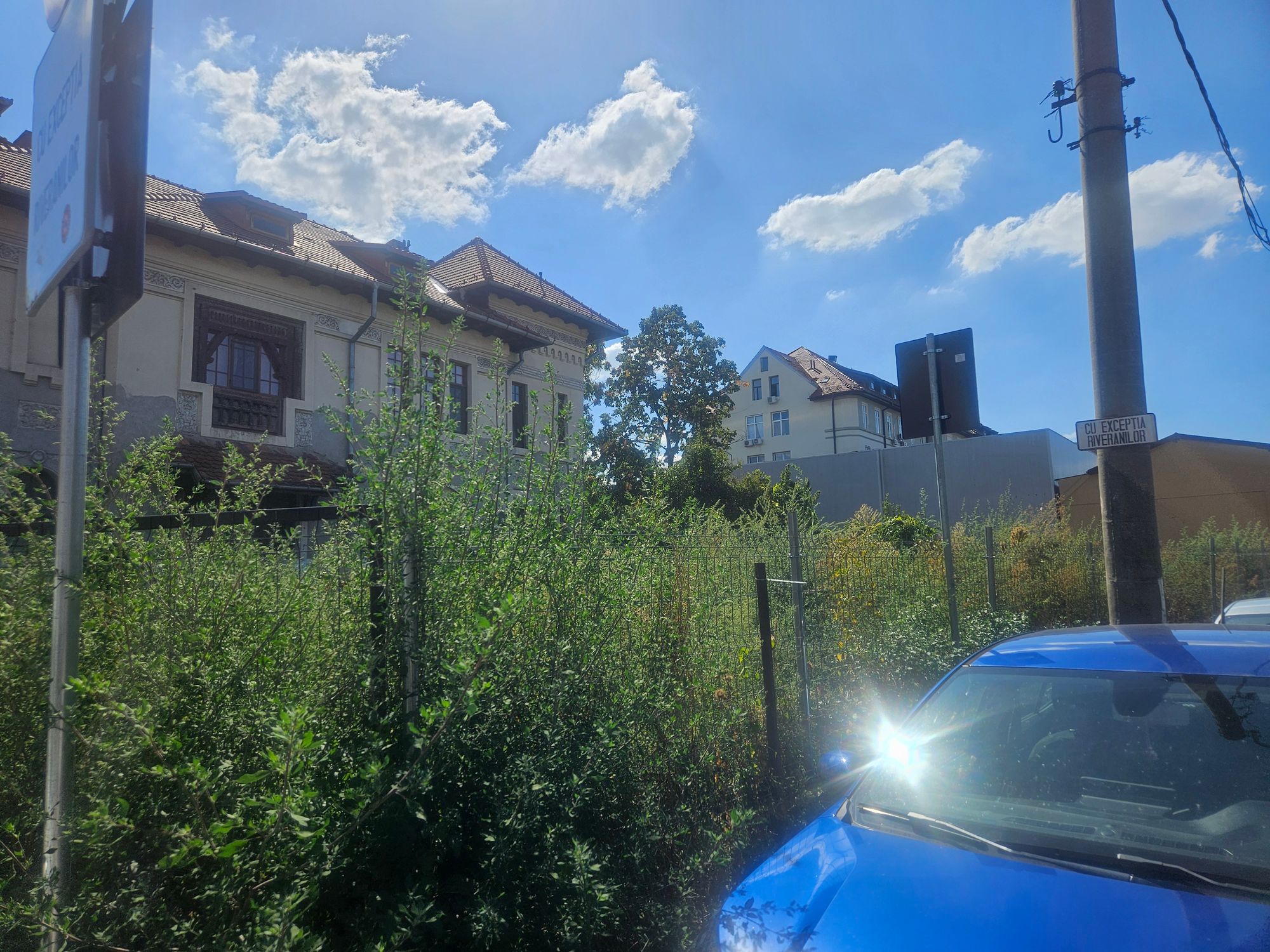 Ambrozie in Strada Agricultori 32, Buciumeni, Oraş Buftea, Județul Ilfov