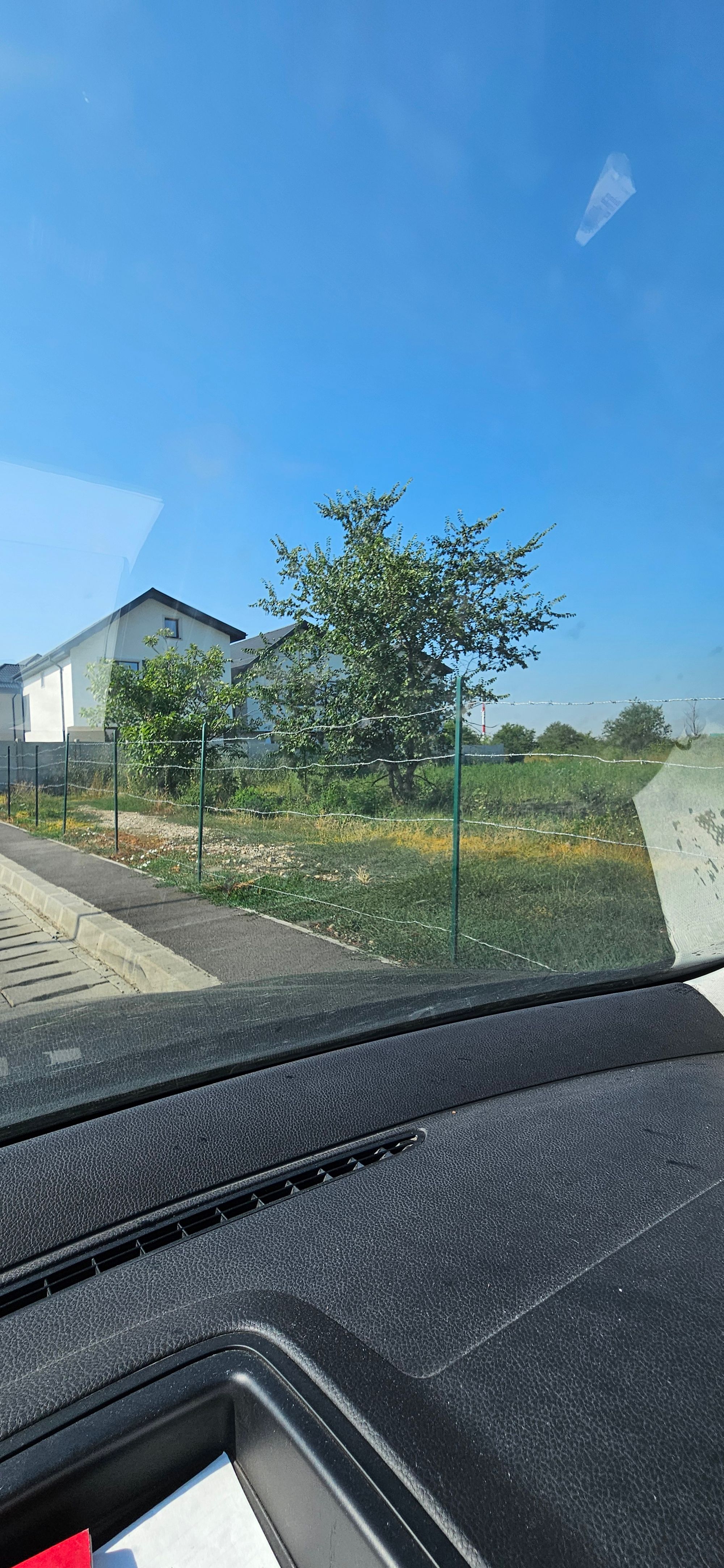 Ambrozie in Strada Iernii 18a, Bragadiru, Oraş Bragadiru, Județul Ilfov - 20250725_095520.jpg