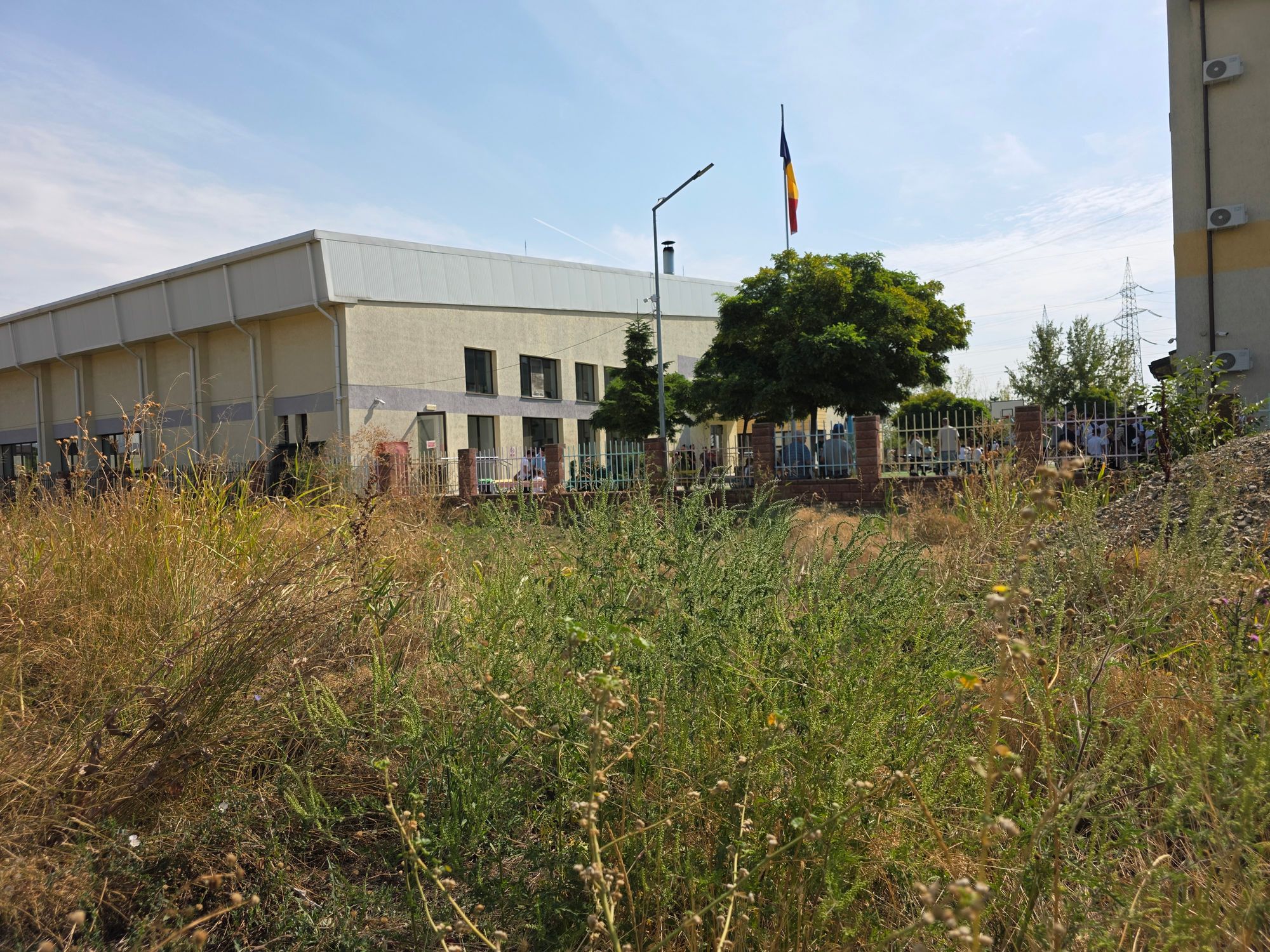 Ambrozie in Strada Agricultorilor 18-20, București, Comuna Dobroești, Județul Ilfov - 20250911_114602.jpg