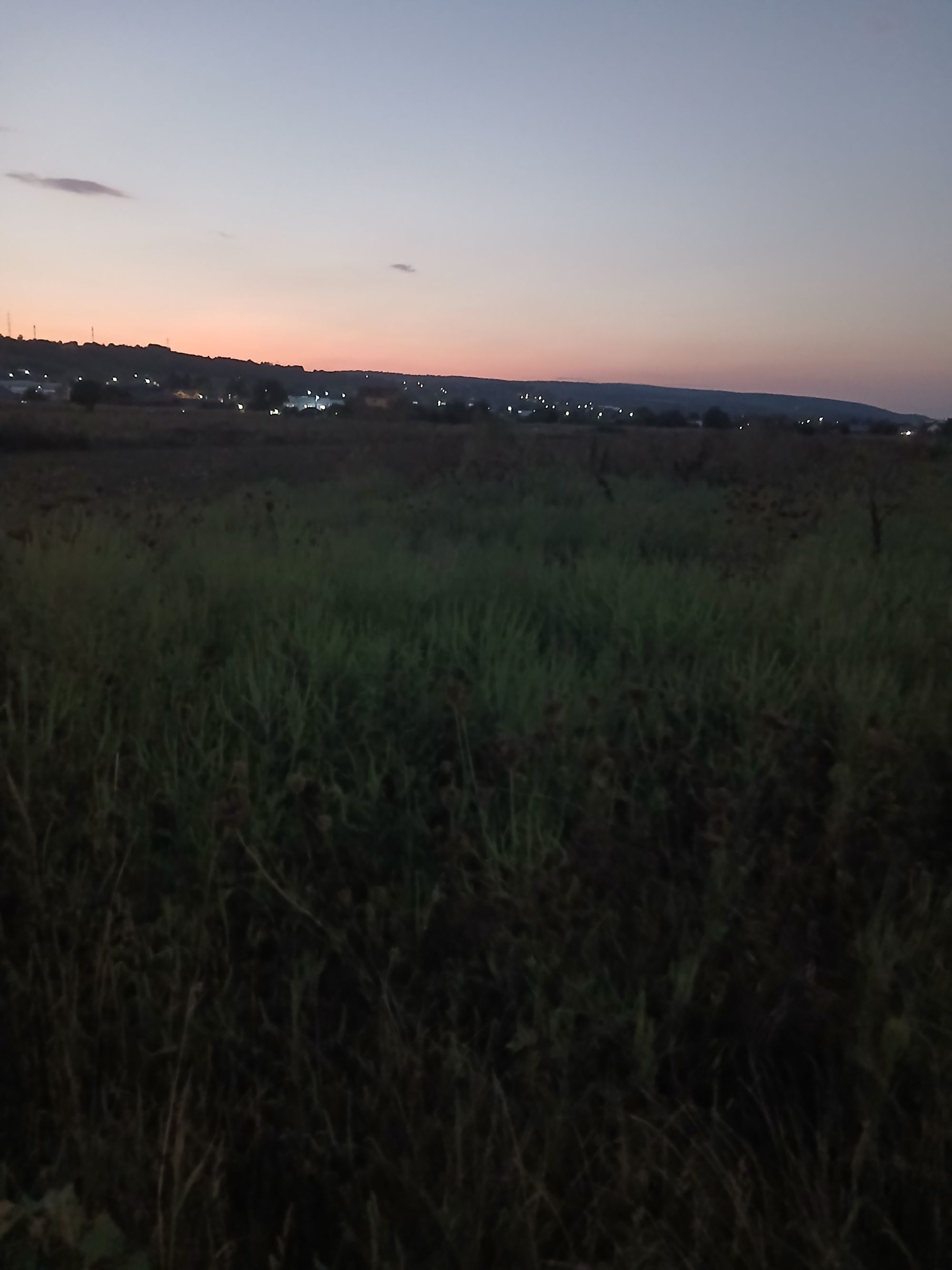 Ambrozie in Strada Bujorului, Mărgineni, Comuna Mărgineni, Județul Bacău
