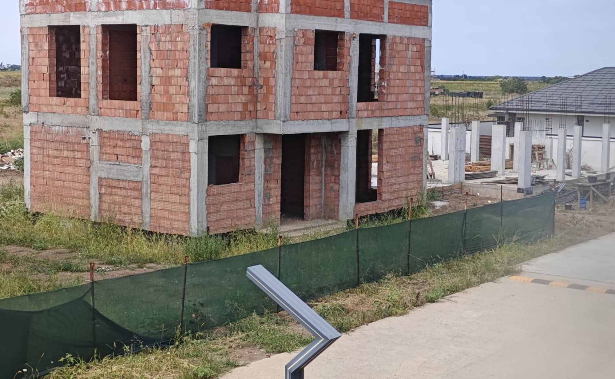 Ambrozie in Strada 1 Decembrie 164, Tunari, Comuna Tunari, Județul Ilfov - Ambrozie Poza 2.jpg