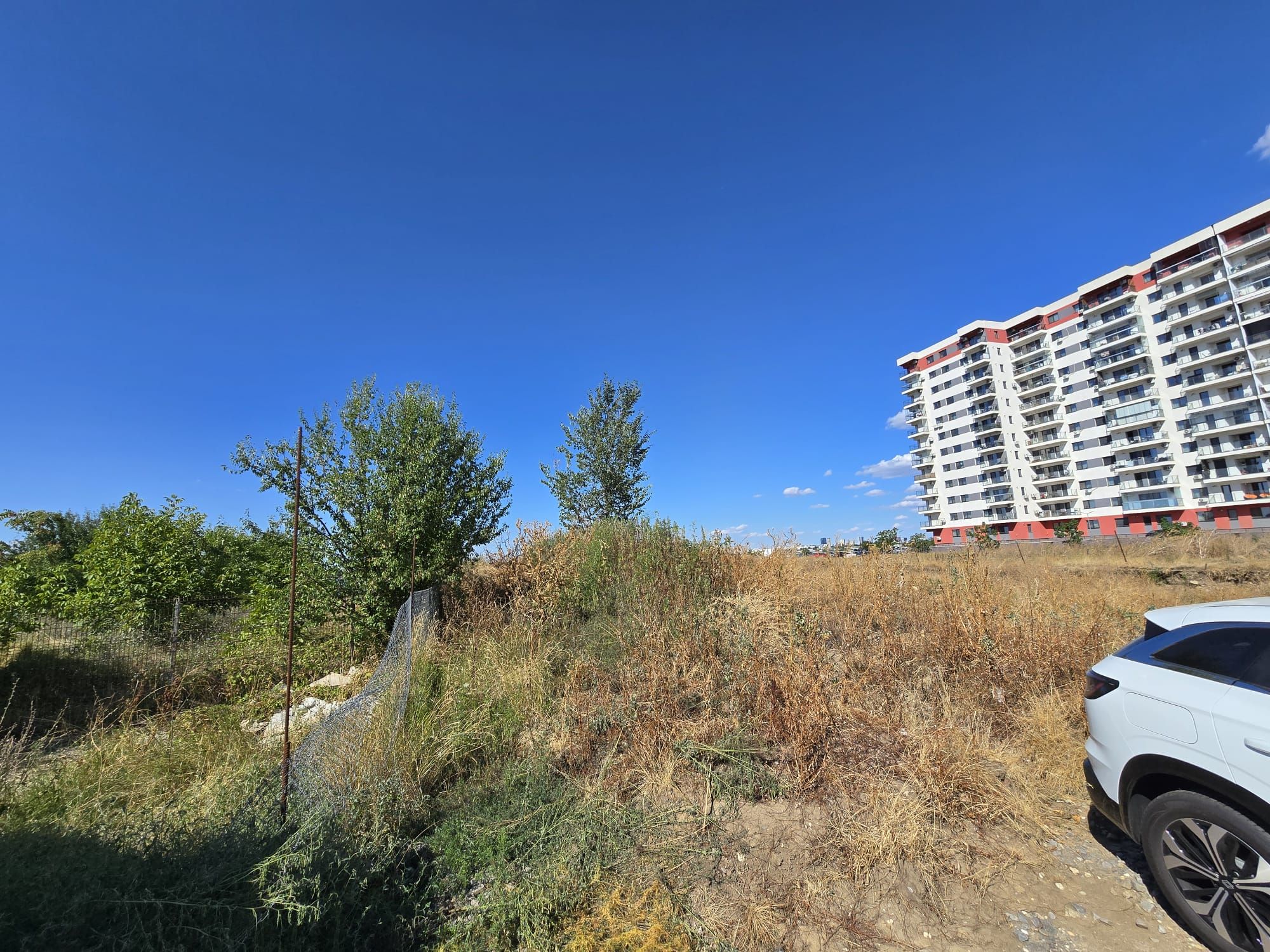 Ambrozie in Aleea Lacul Morii 141, București, Municipiul București - IMG-20250824-WA0000.jpg