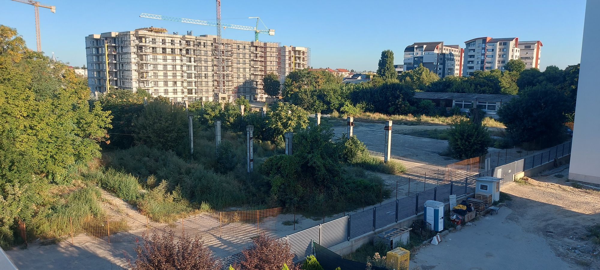 Ambrozie marcată de Gabriel Danut Tofan în Strada Tecuci, Nr. 161-163, Galați, Municipiu Galați, Județul Galați