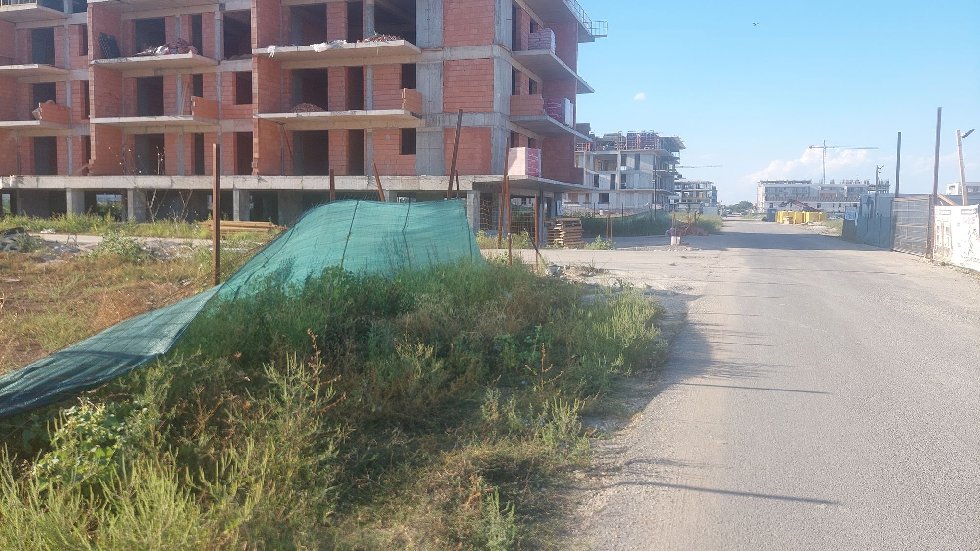 Ambrozie in Drumul Gura Vlădesei, București, Municipiul București