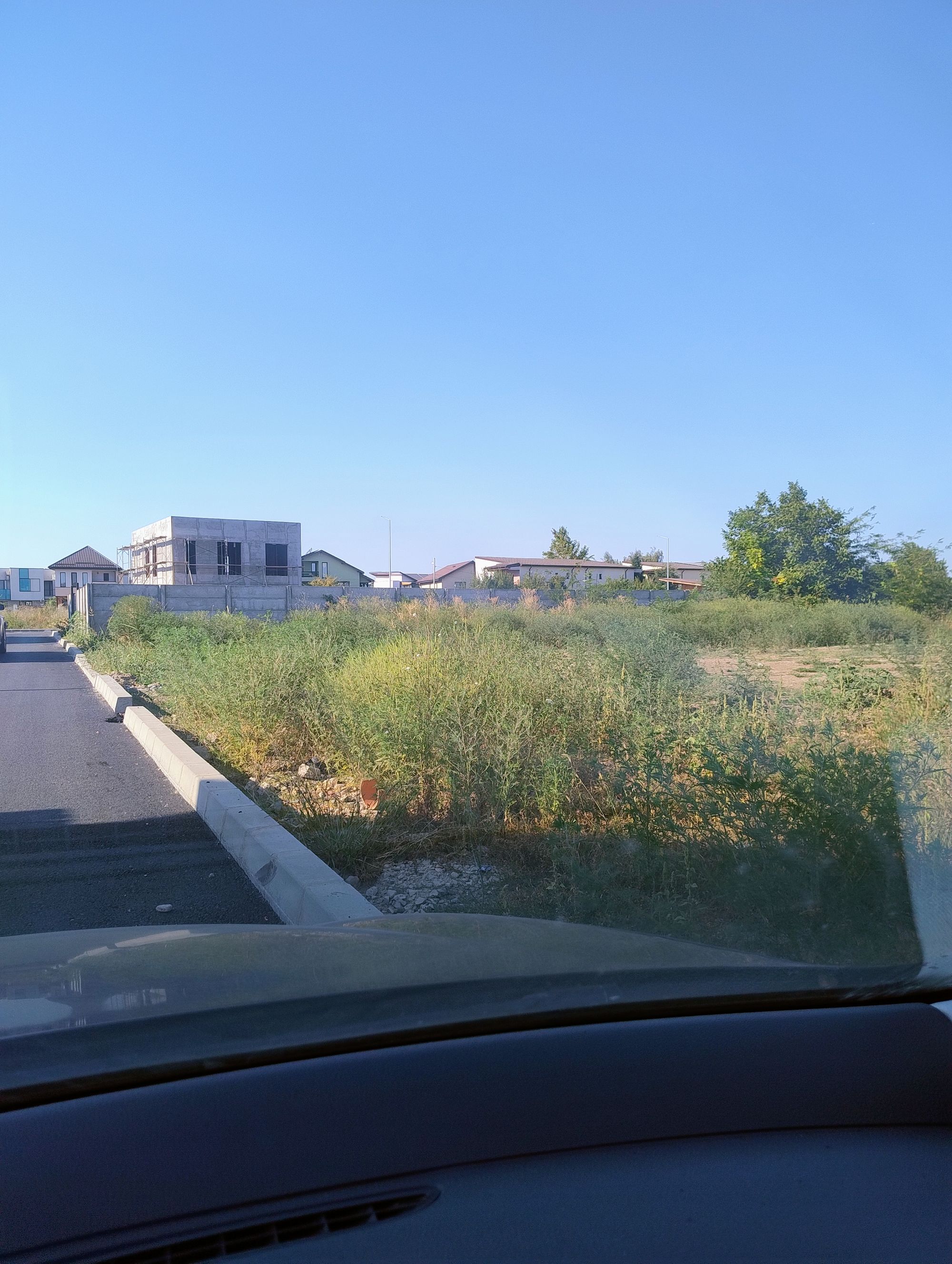 Ambrozie in Strada Mărțișor 74 E, Bragadiru, Oraș Bragadiru, Județul Ilfov