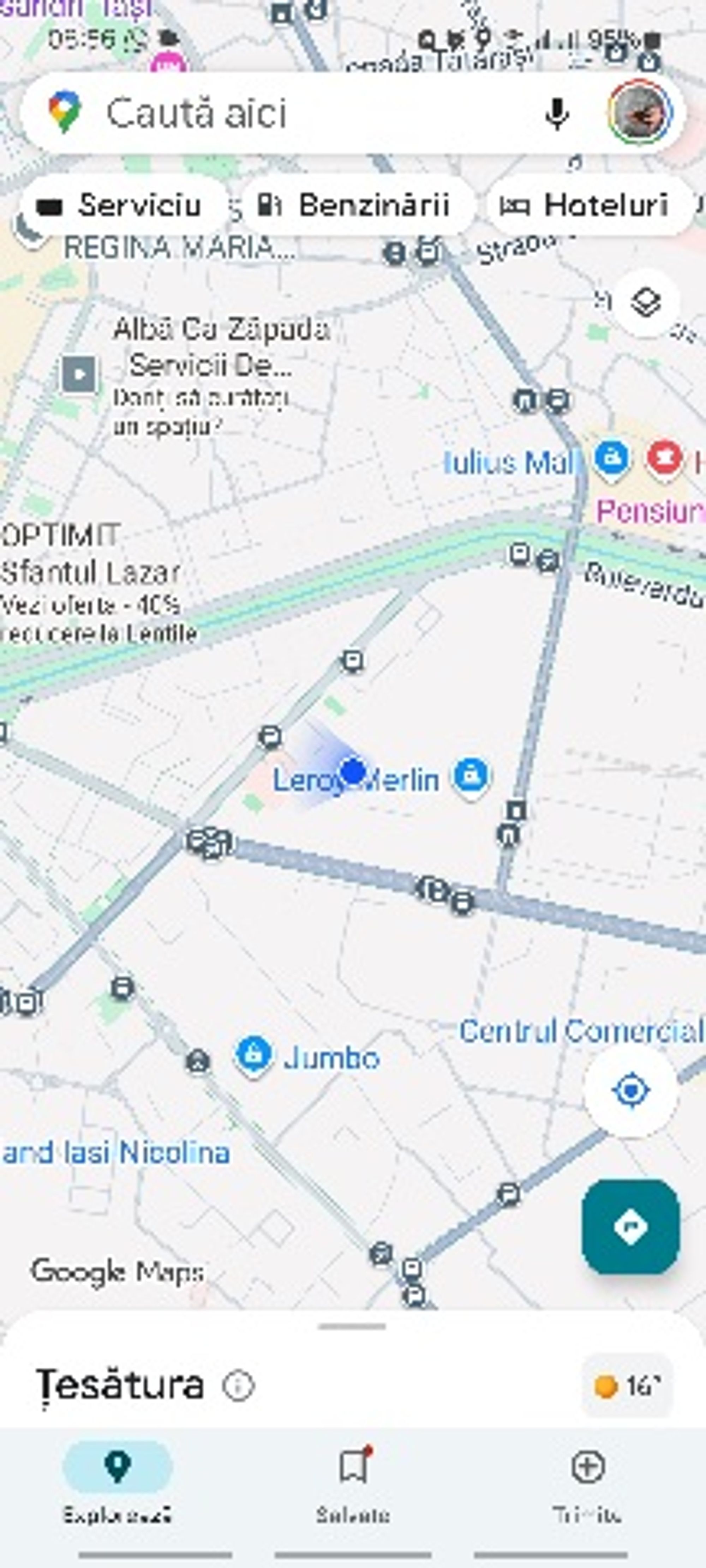 Ambrozie in Calea Chișinăului 23, Iași, Municipiu Iaşi, Județul Iași - 1000080856.jpg