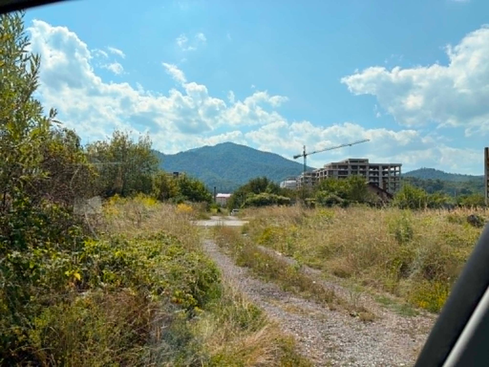 Ambrozie in Strada Aurel Marin 33, Brașov, Municipiu Brașov, Județul Brașov