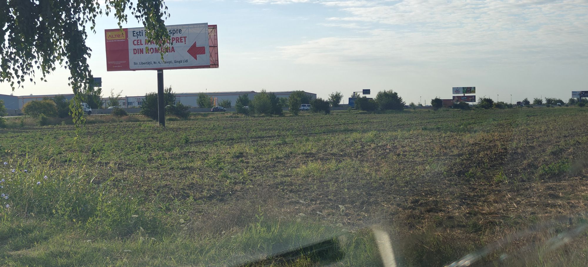 Ambrozie in Centura de Vest 23, Ploiești, Municipiu Ploiești, Județul Prahova - IMG20260729073348.jpg