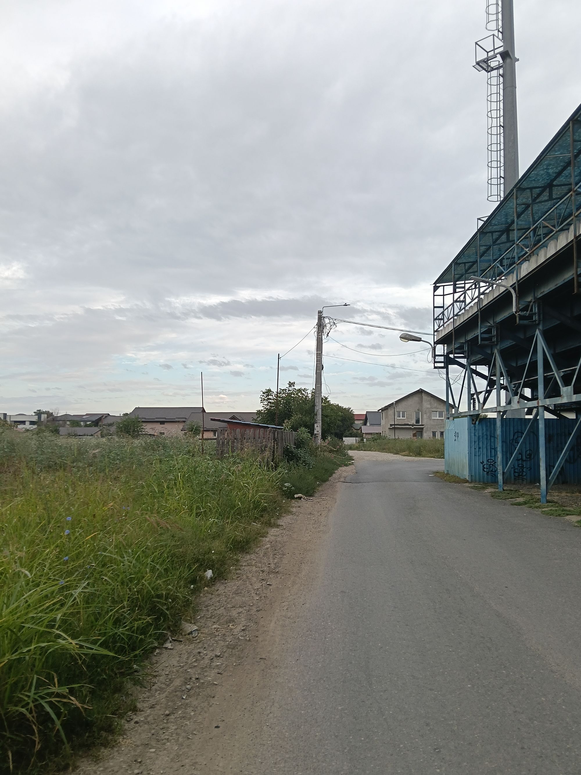 Ambrozie in Strada Stadionului 36 B, Berceni, Comuna Berceni, Județul Ilfov