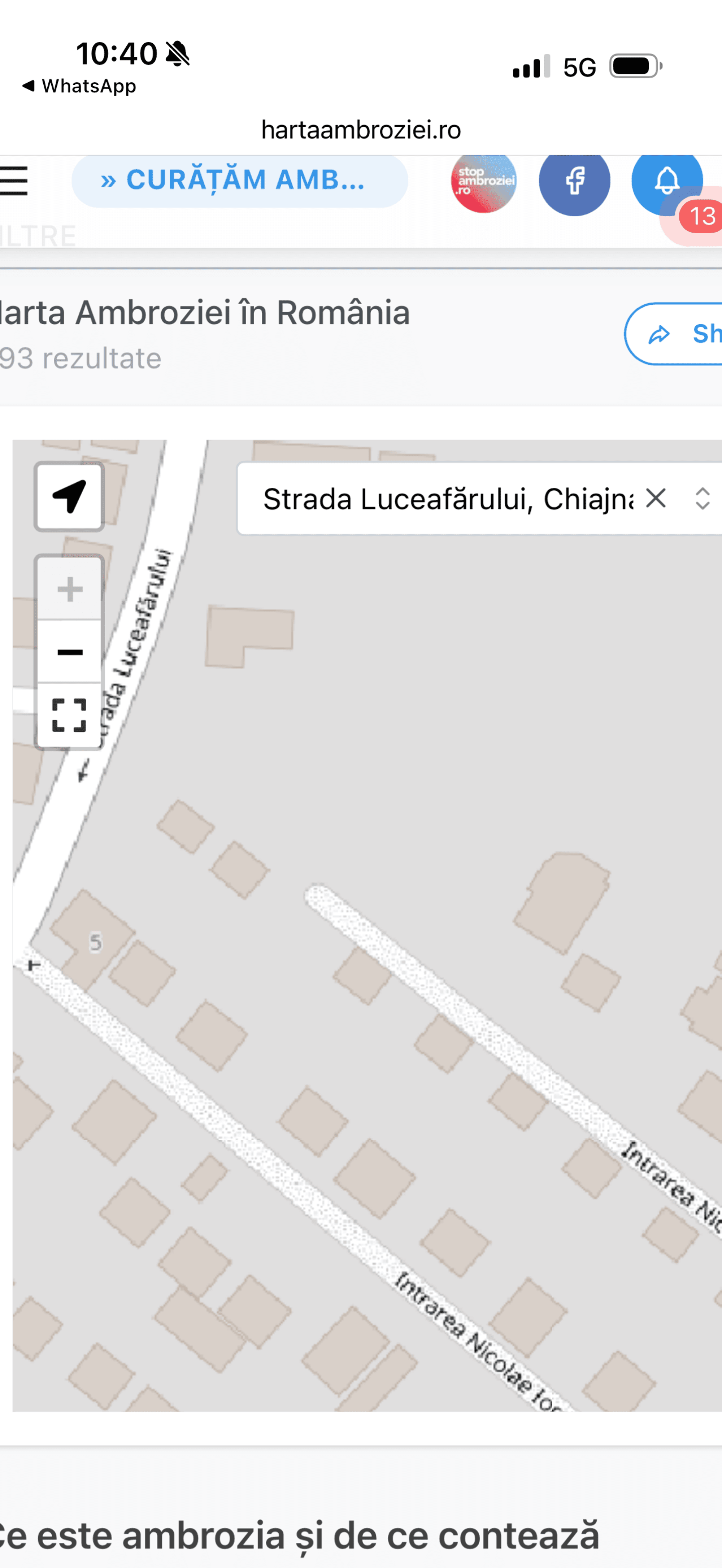 Ambrozie in Strada Luceafărului 30, Chiajna, Comuna Chiajna, Județul Ilfov