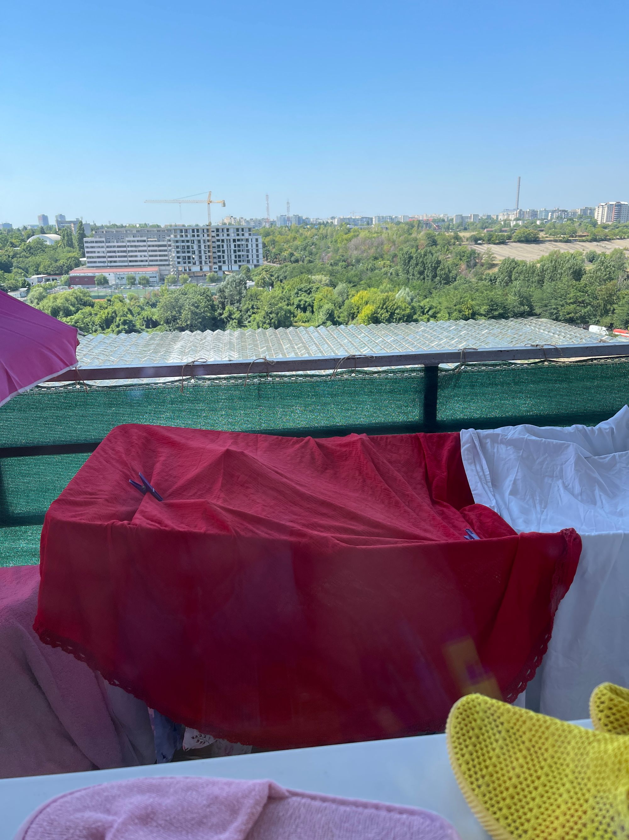 Ambrozie in Bucharest - IMG_2474.jpeg