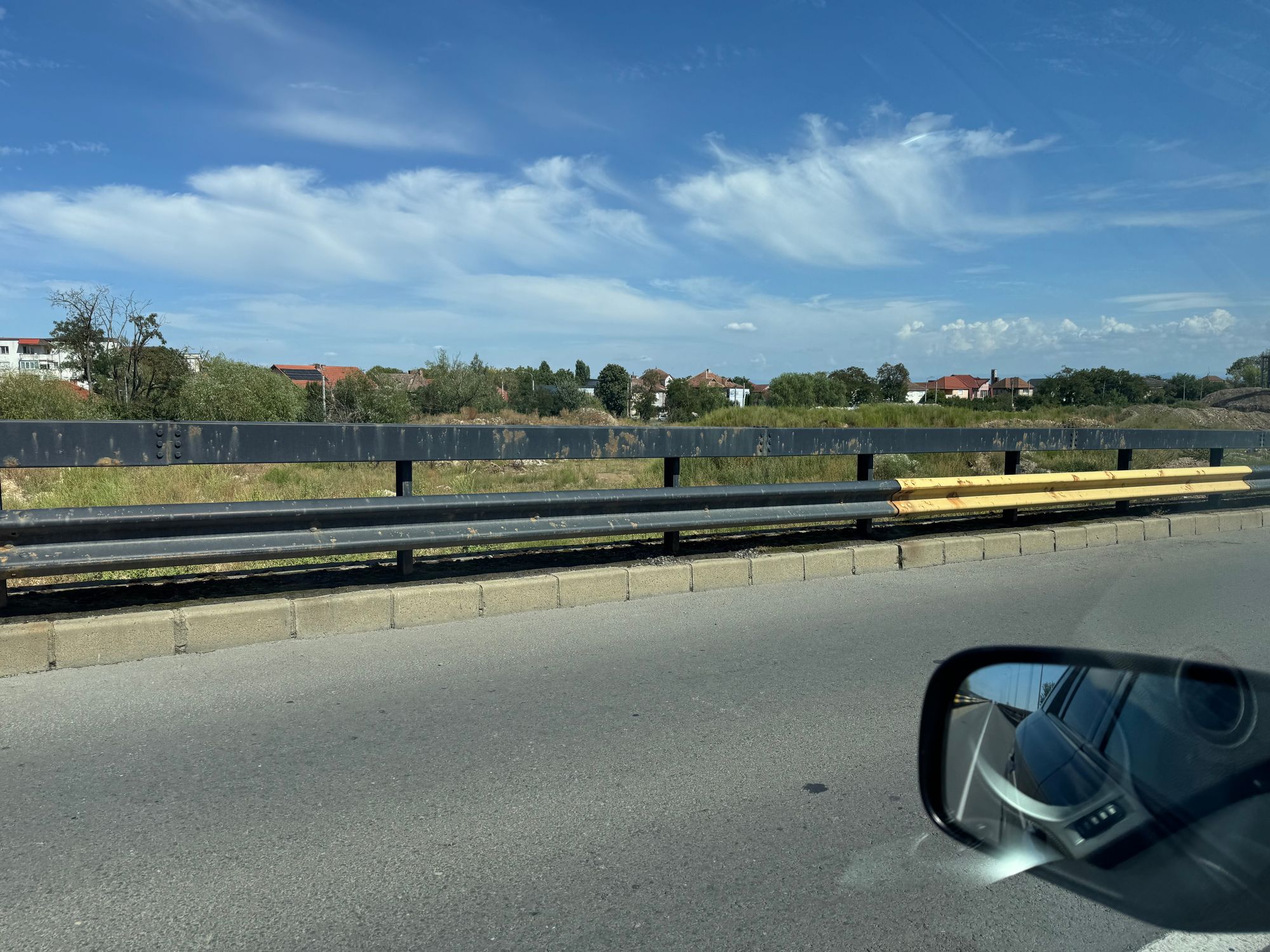 Ambrozie in Satu Mare, Municipiu Satu Mare, Județul Satu Mare