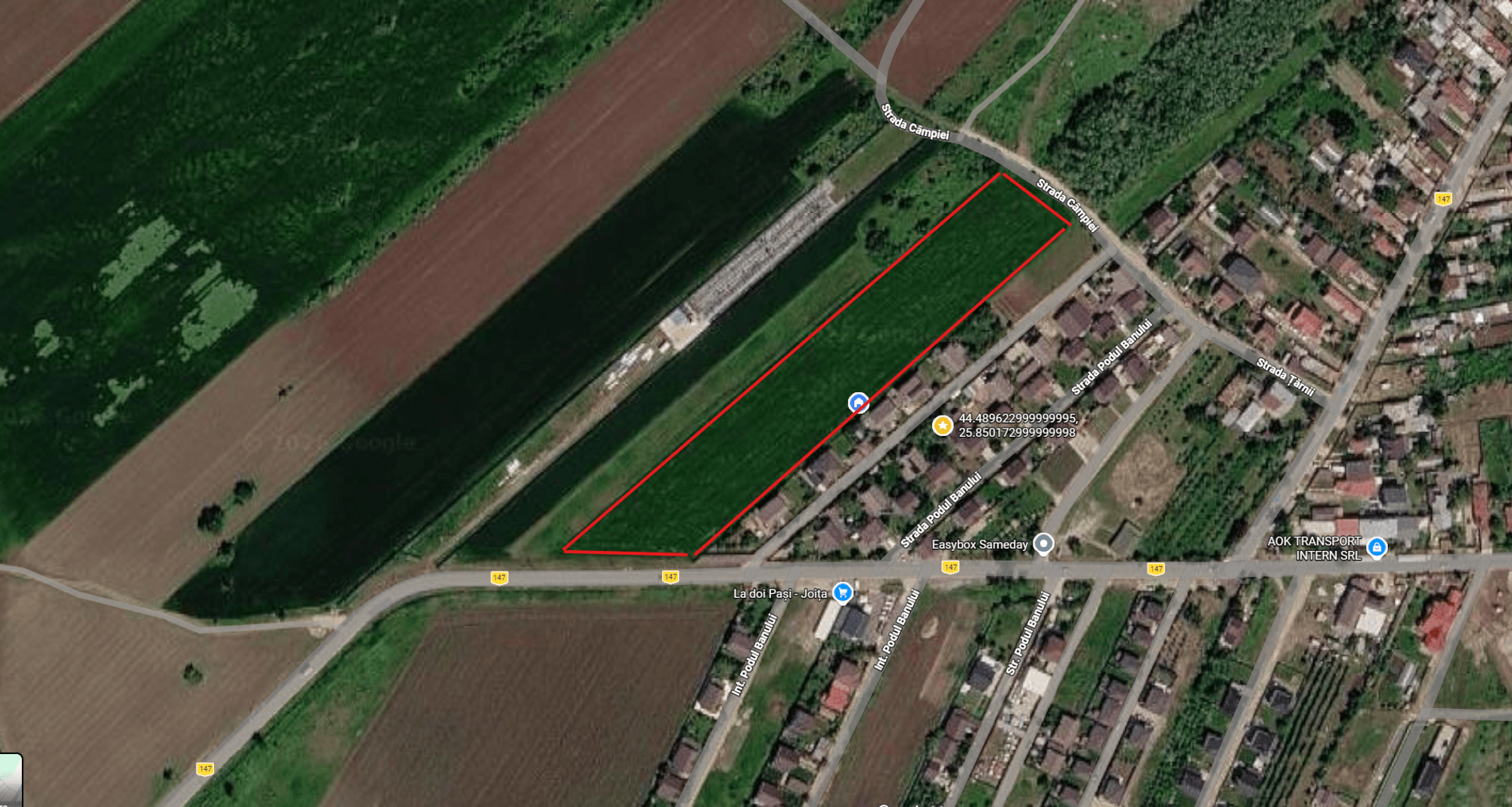 Ambrozie in DC147 75, Joița, Comuna Joița, Județul Giurgiu - Ambrozie.png