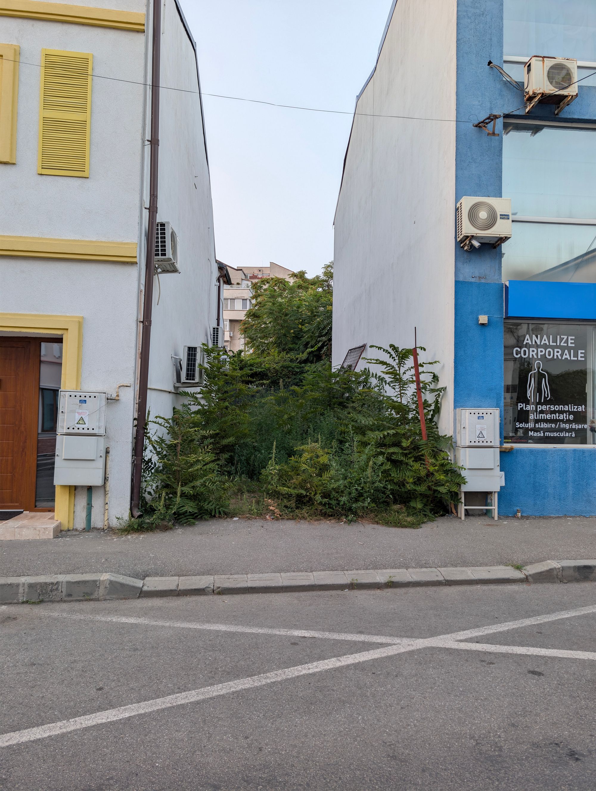 Ambrozie in Strada România Muncitoare 57, Craiova, Municipiu Craiova, Județul Dolj - 39554.jpg