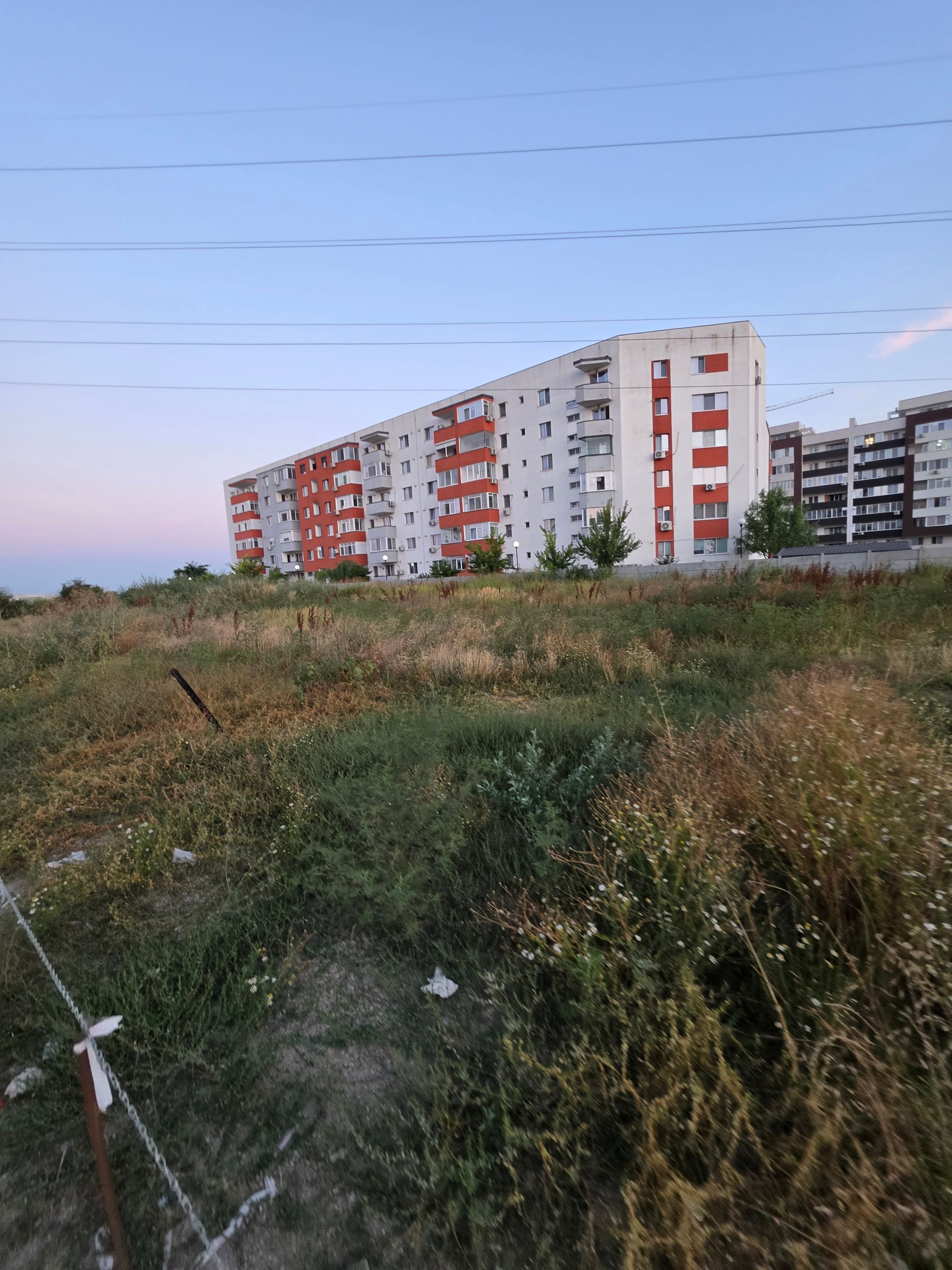 Ambrozie in Strada Biruinței 7, Popești-Leordeni, Oraș Popești Leordeni, Județul Ilfov