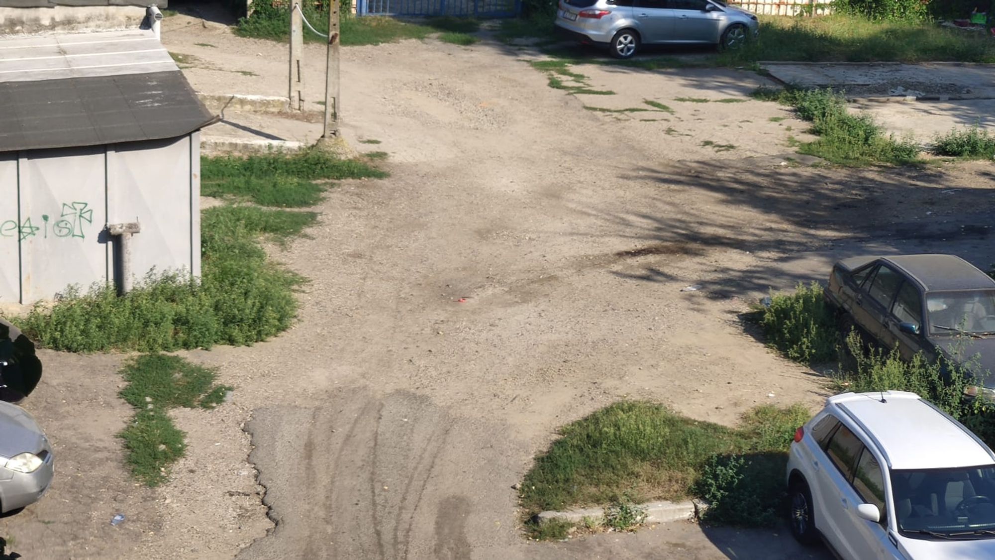 Ambrozie in Bloc C16, Galați, Municipiu Galaţi, Județul Galați - WhatsApp Image 2023-08-22 at 09.51.06.jpg