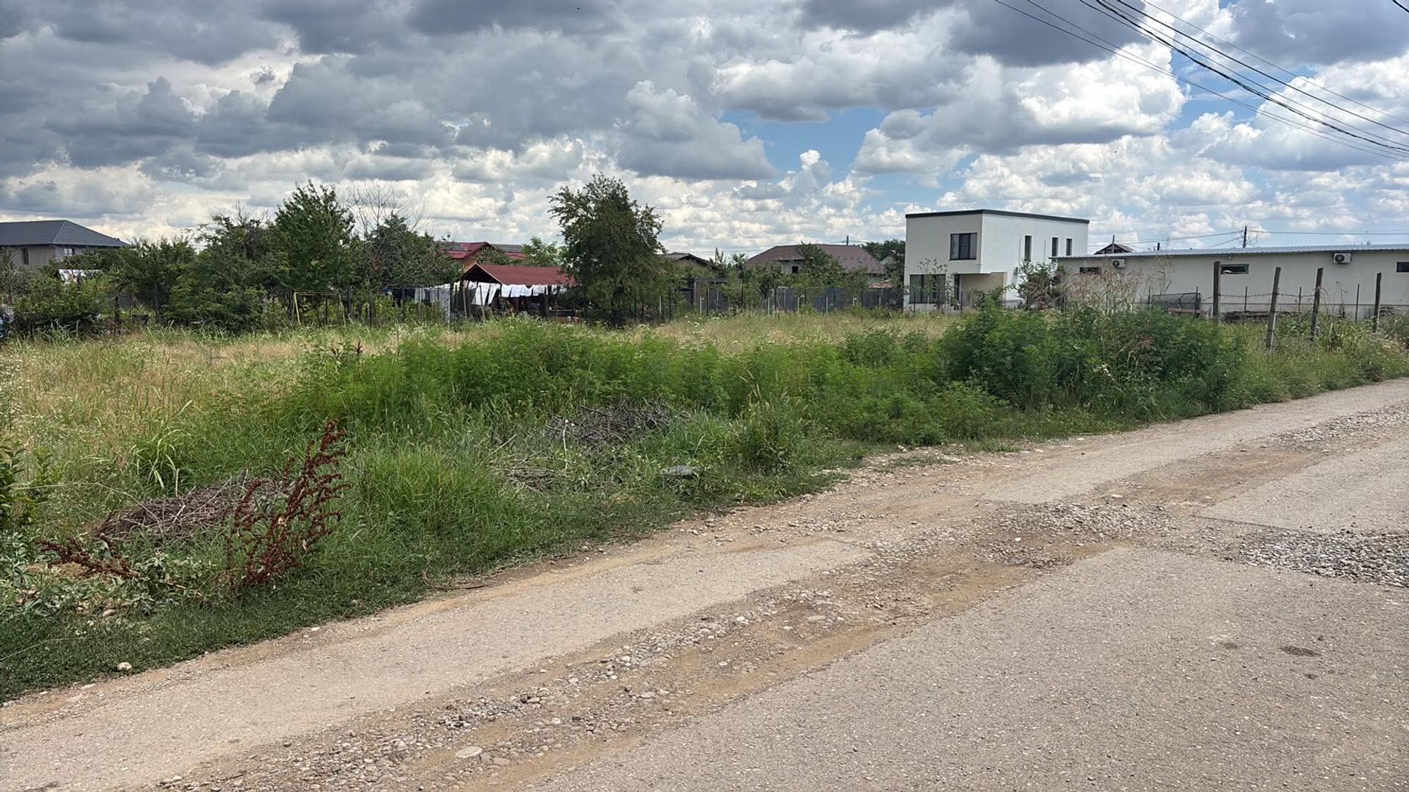 Ambrozie in Strada Frasinului 17, Strejnicu, Comuna Târgșoru Vechi, Județul Prahova