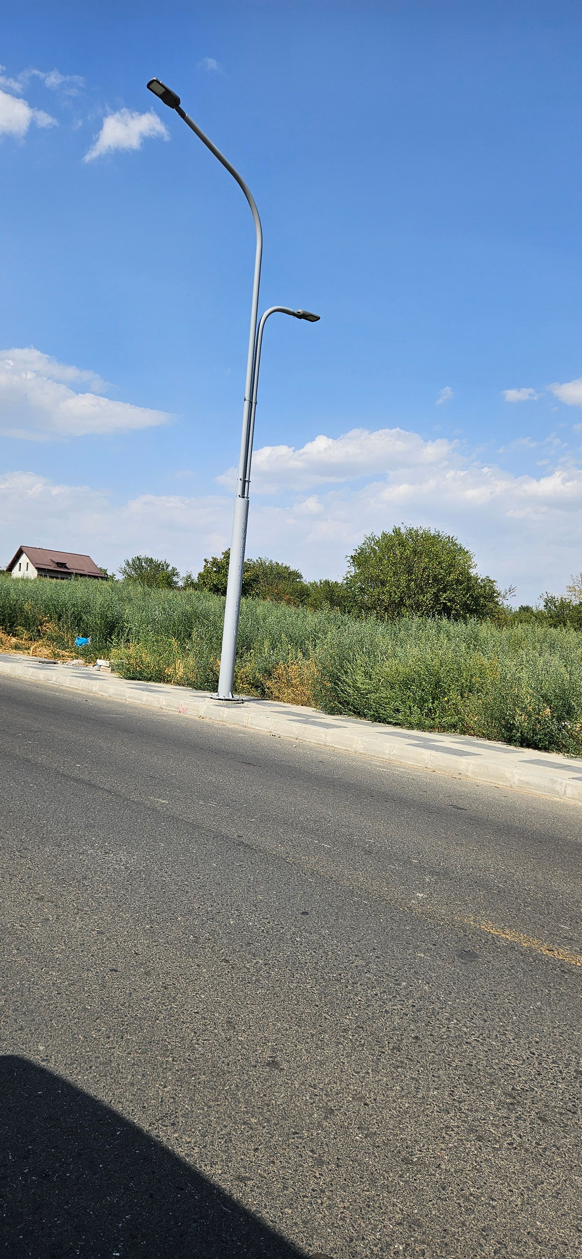 Ambrozie in DJ401A 90, Bragadiru, Oraş Bragadiru, Județul Ilfov - 1000005336.jpg