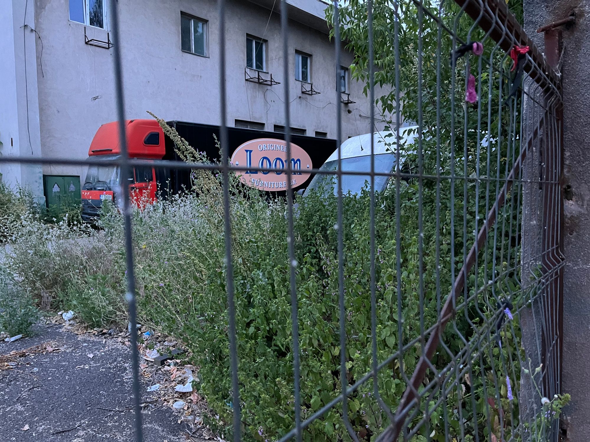 Ambrozie in București, Municipiul București - BBFB1260-C0DF-4357-8862-A0092733A10D.jpeg