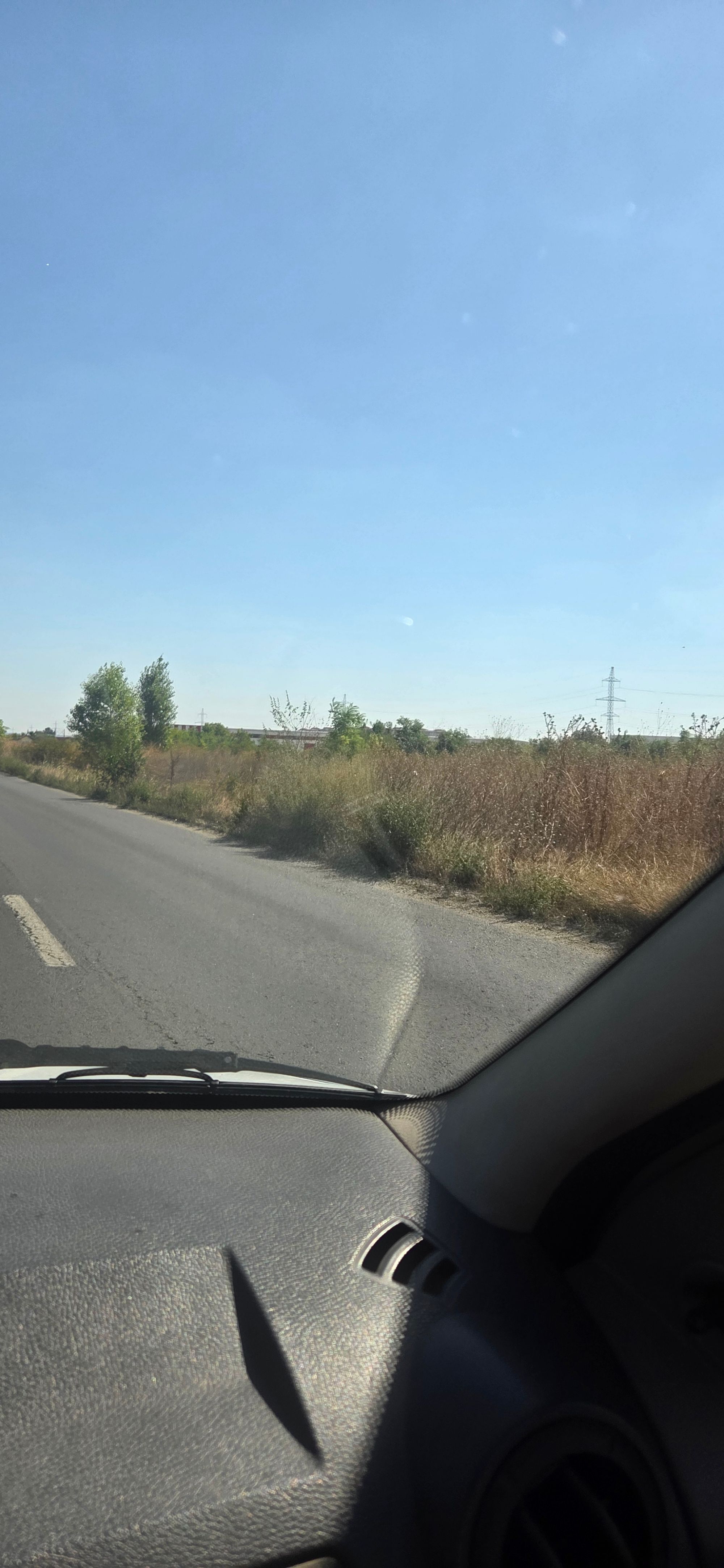 Ambrozie in Splaiul Unirii 839, București, Municipiul București - 20250905_121348.jpg