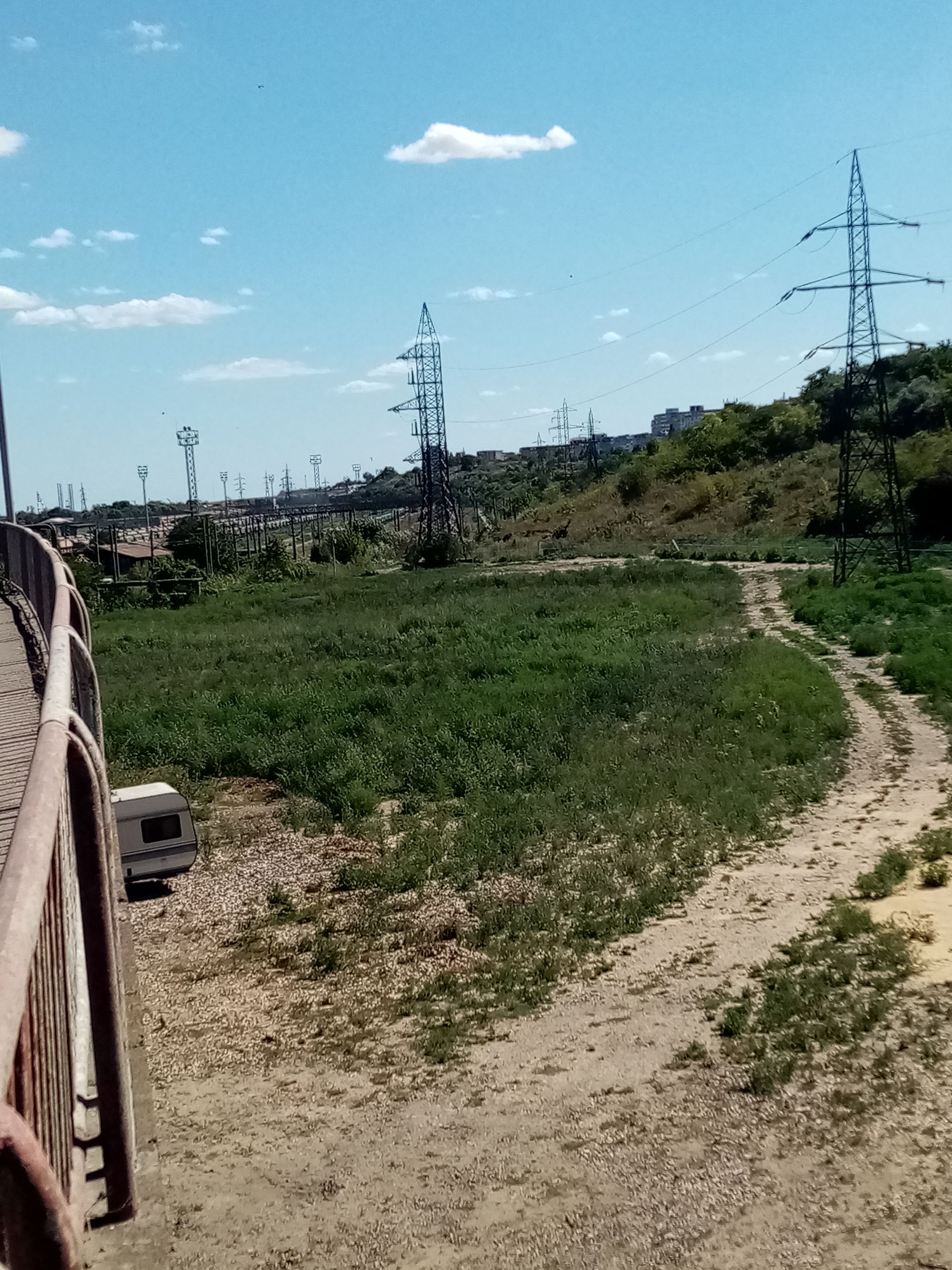 Ambrozie in Bulevardul 1 Mai Vechi 31, Constanța, Municipiul Constanța, Județul Constanța - IMG_20230807_151930.jpg