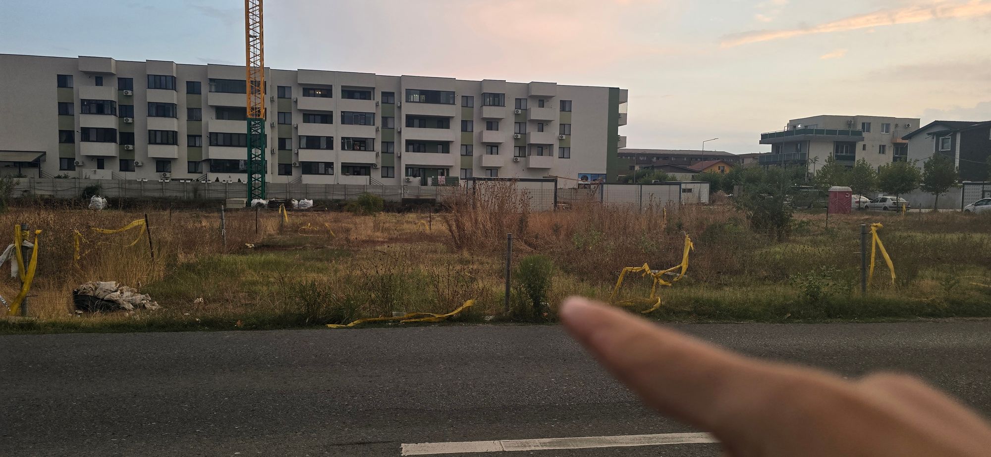 Ambrozie in Strada Brățării 129, București, Municipiul București - 20250912_192522.jpg