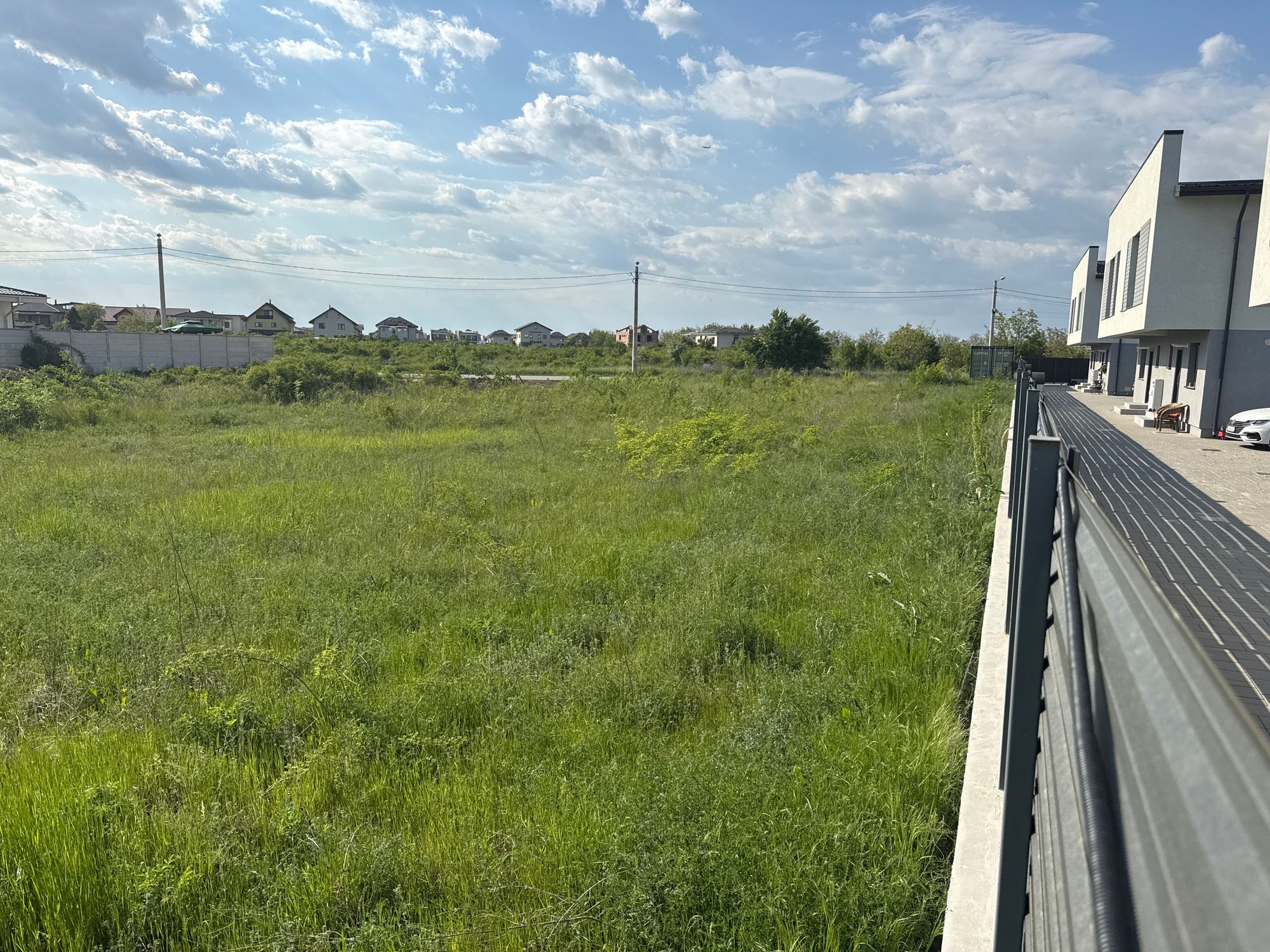 Ambrozie in Strada Grivița 38b, Otopeni, Oraş Otopeni, Județul Ilfov - image.jpg