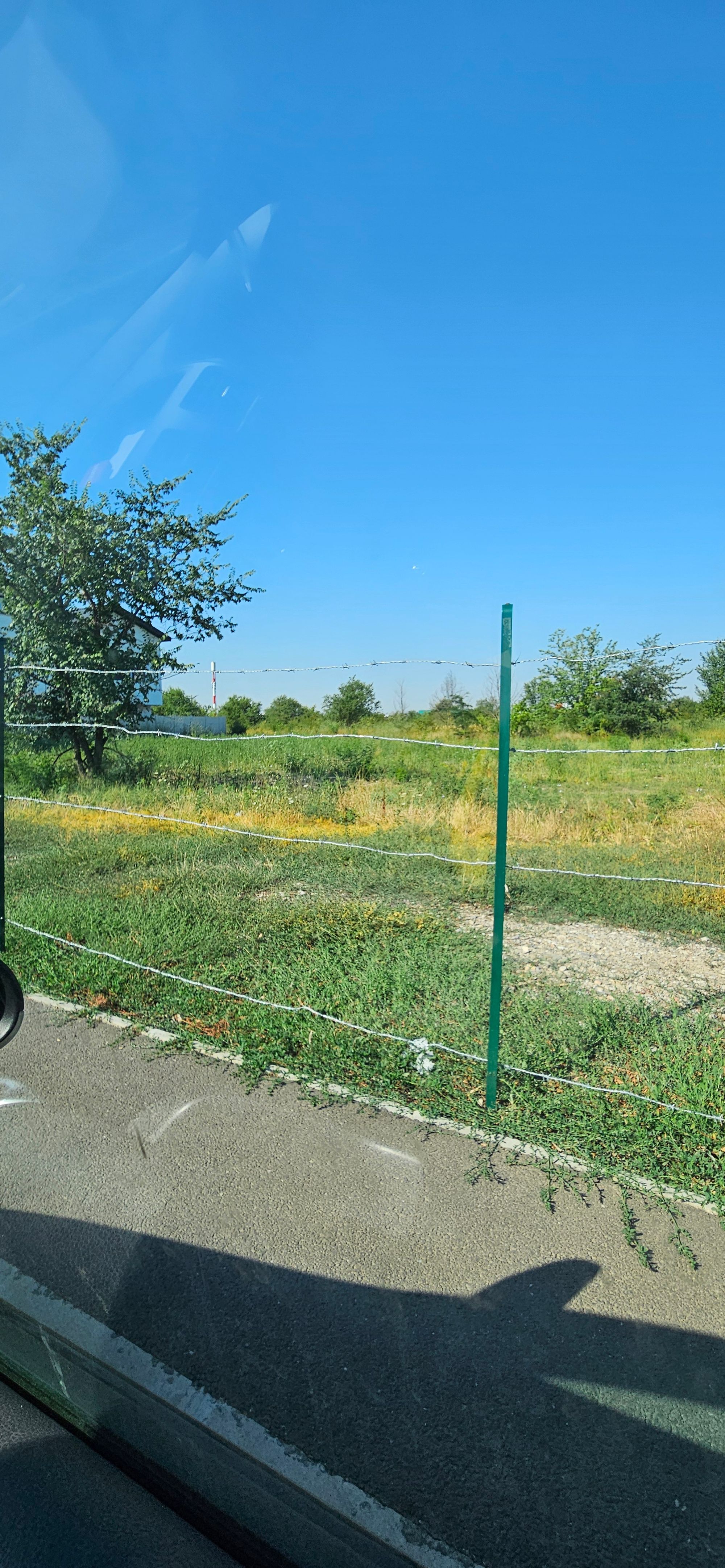 Ambrozie in Strada Iernii 18a, Bragadiru, Oraş Bragadiru, Județul Ilfov - 20250725_095350.jpg