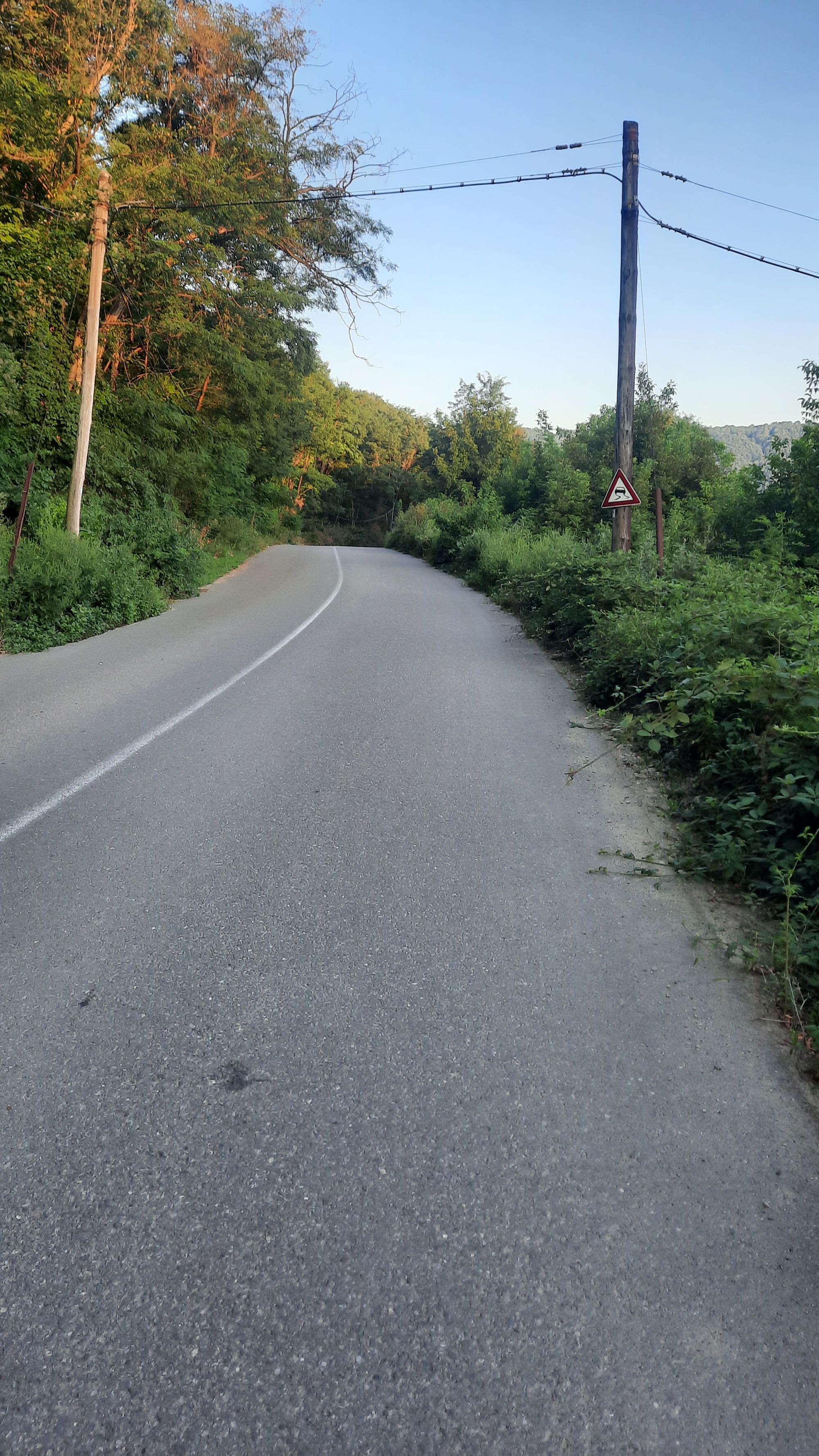 Ambrozie in Corbu, Catina, Buzău County - 20230827_192314.jpg