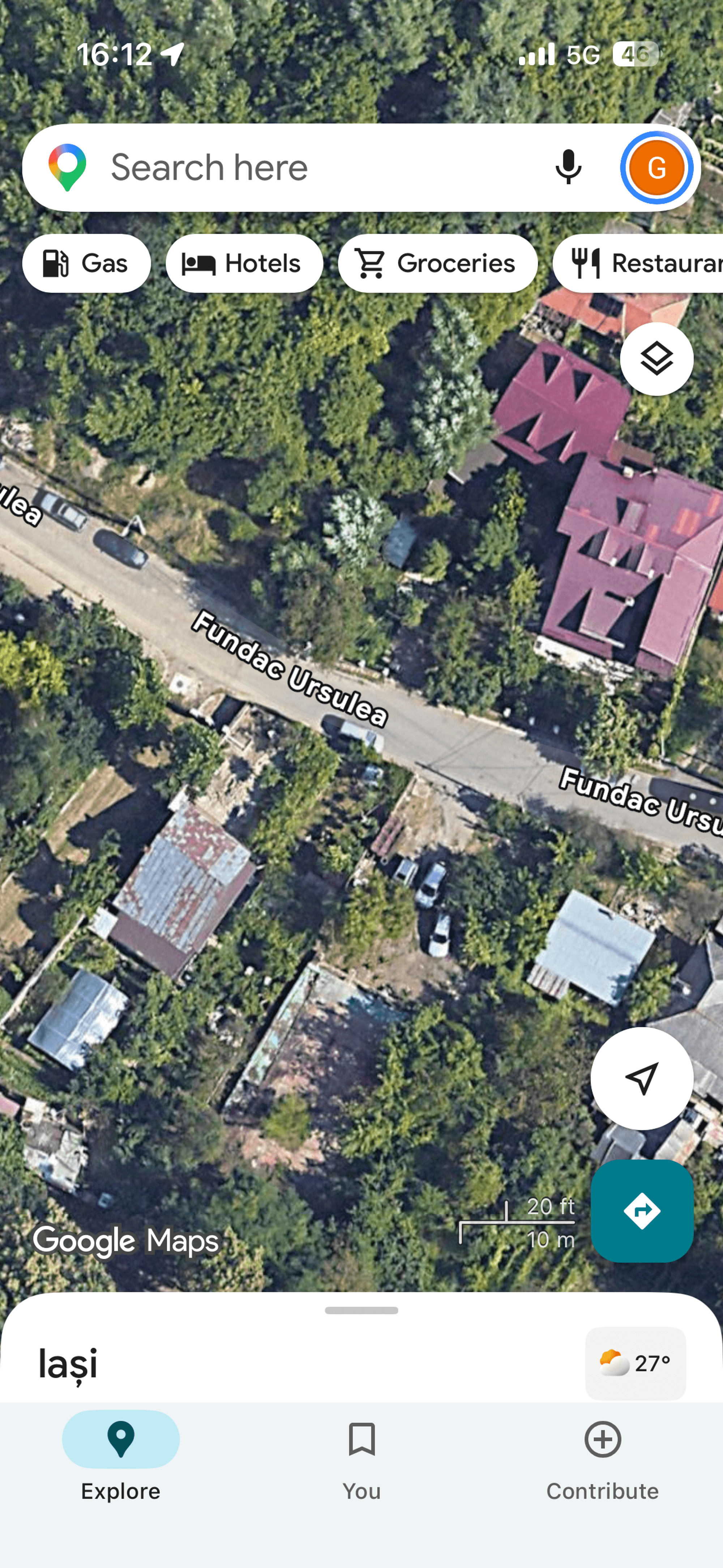 Ambrozie in Fundac Ursulea 11, Iași, Municipiu Iași, Județul Iași - IMG_2434.png