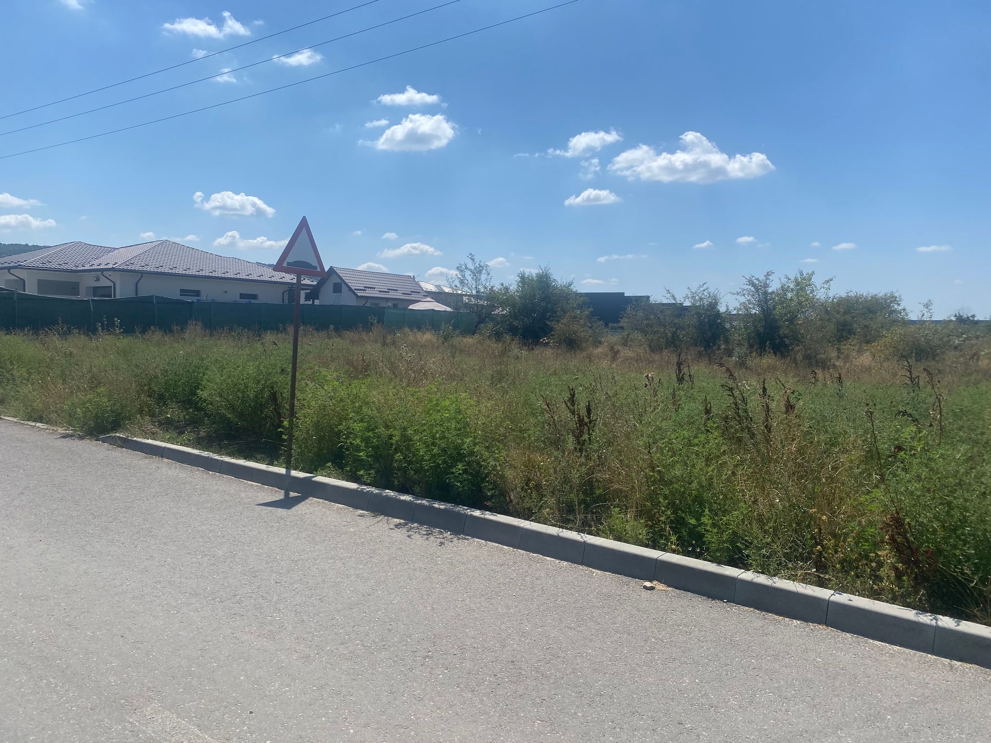 Ambrozie in Strada Egalitaţii 12a, Mioveni, Oraş Mioveni, Județul Argeș - IMG_0489.jpeg