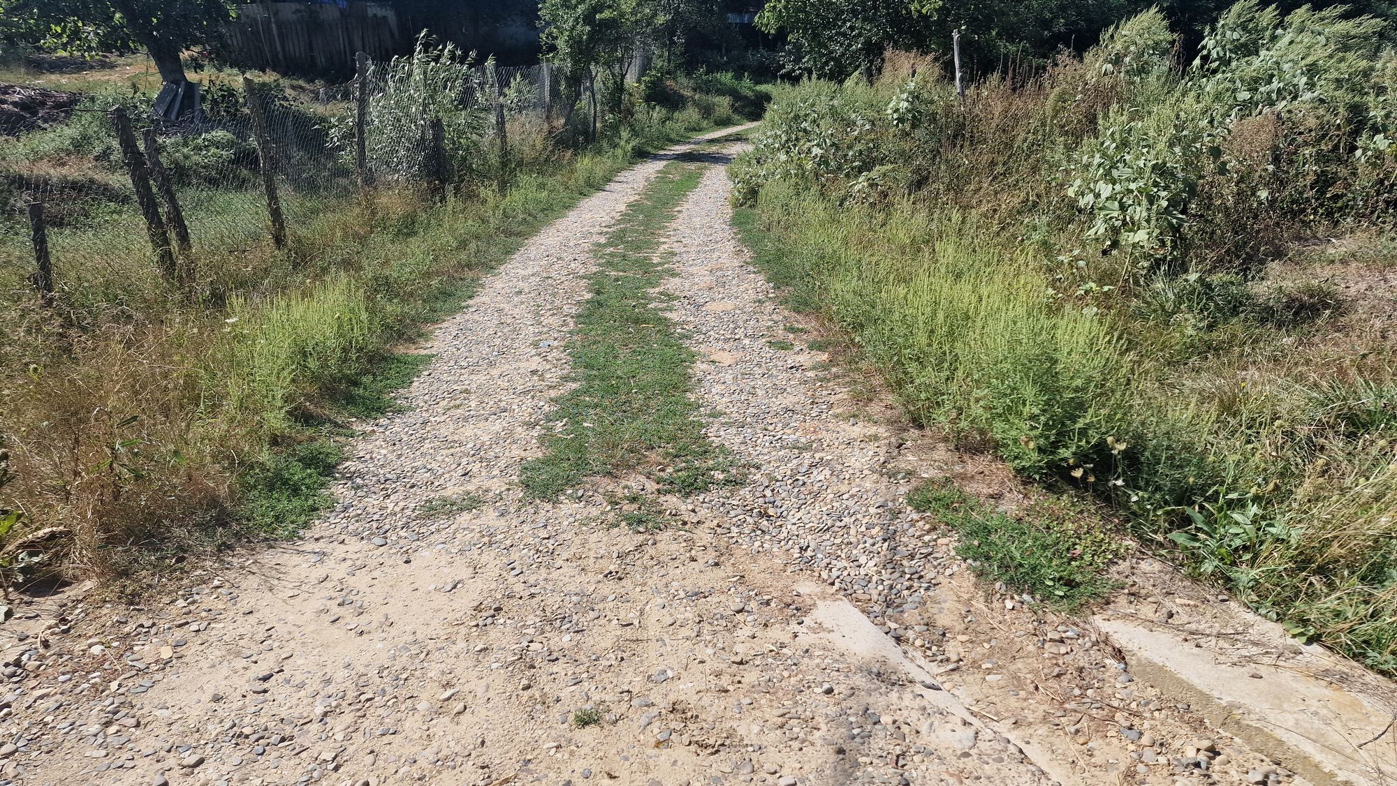 Ambrozie in Cotic, Comuna Todirești, Județul Vaslui