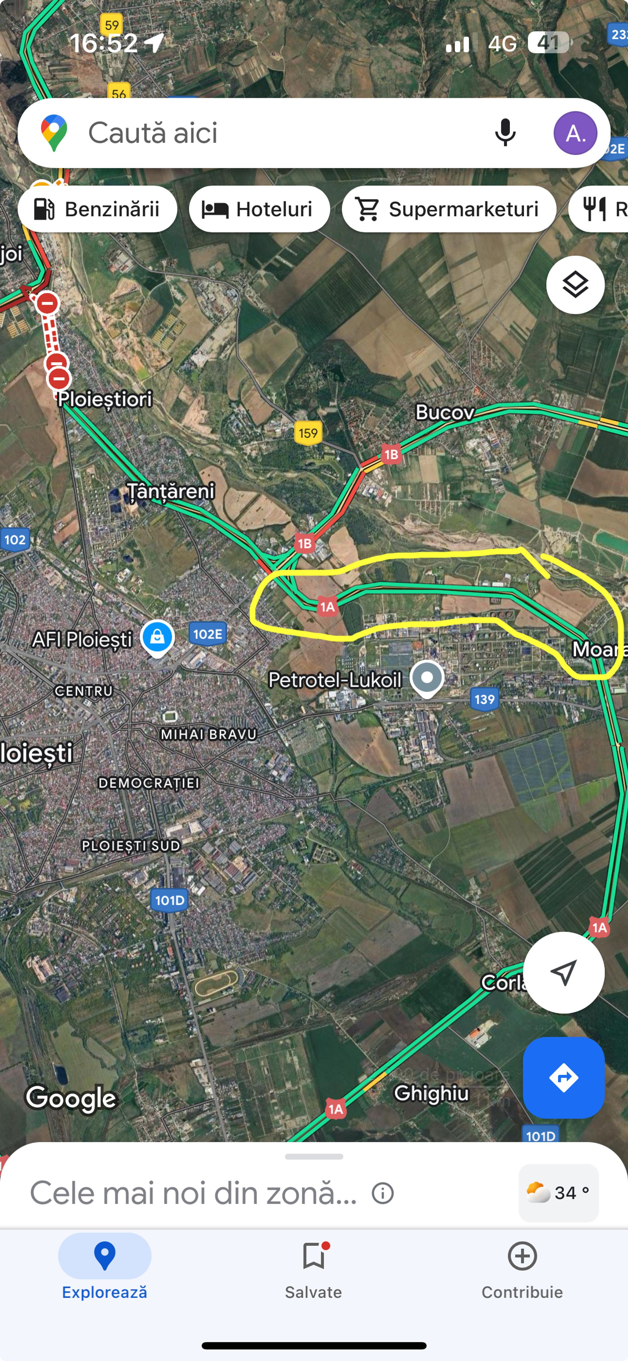 Ambrozie in Ploiești, Municipiu Ploieşti, Județul Prahova
