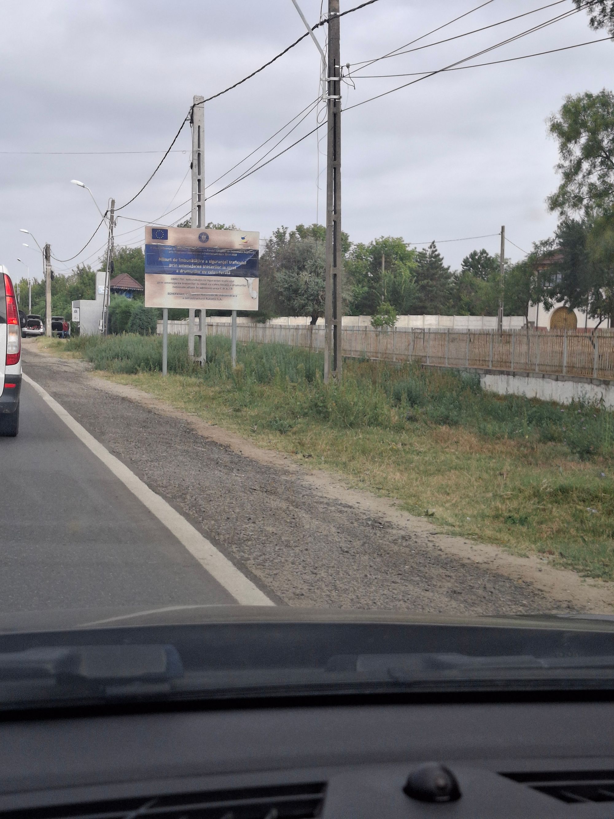 Ambrozie in Strada Prelungirea Bechetului 3, Craiova, Municipiu Craiova, Județul Dolj