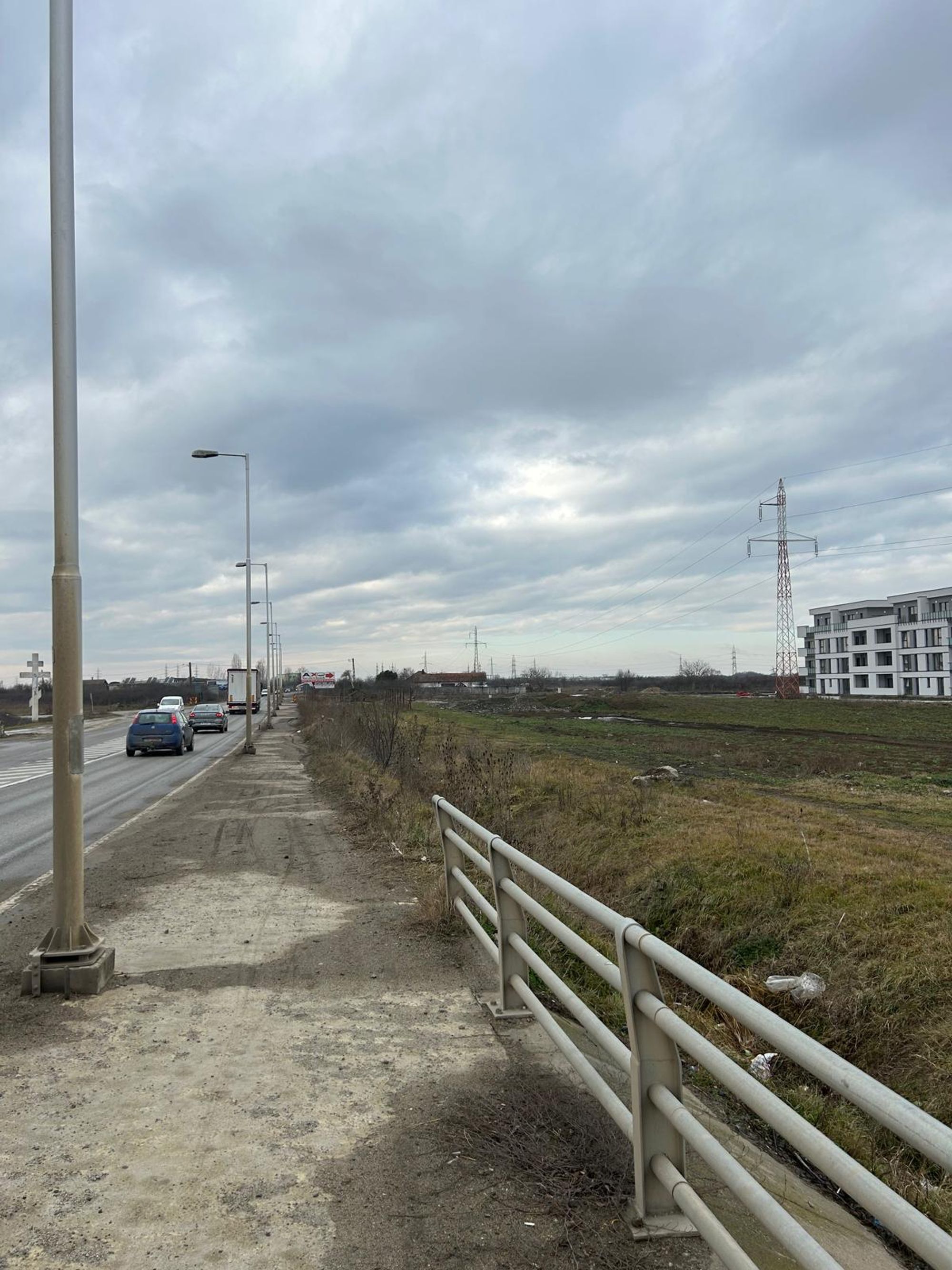 Ambrozie in Strada Ștefan Frecot 1, Timișoara, Municipiu Timișoara, Județul Timiș
