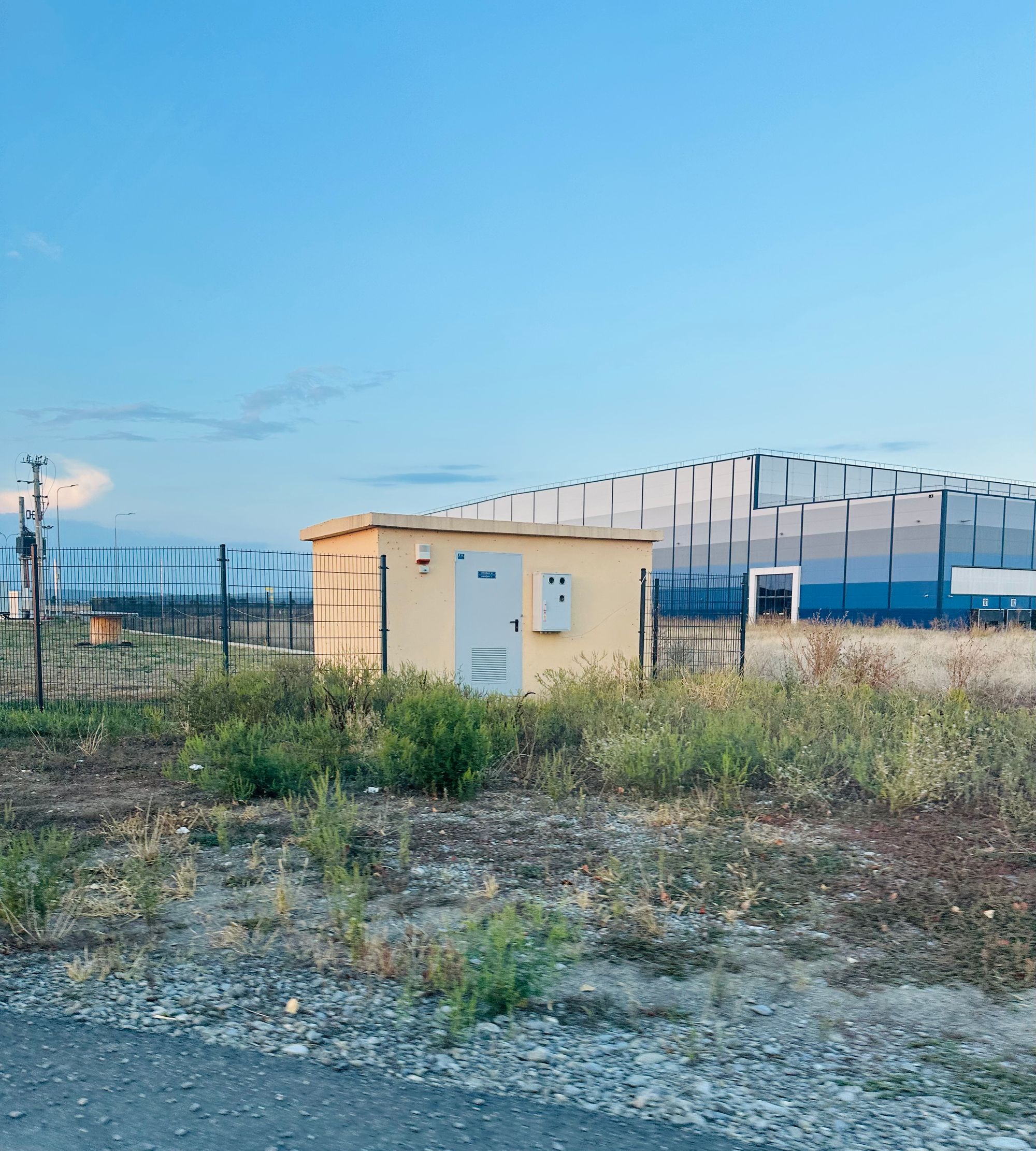 Ambrozie in Ploiești, Municipiu Ploieşti, Județul Prahova - IMG_8557.jpeg