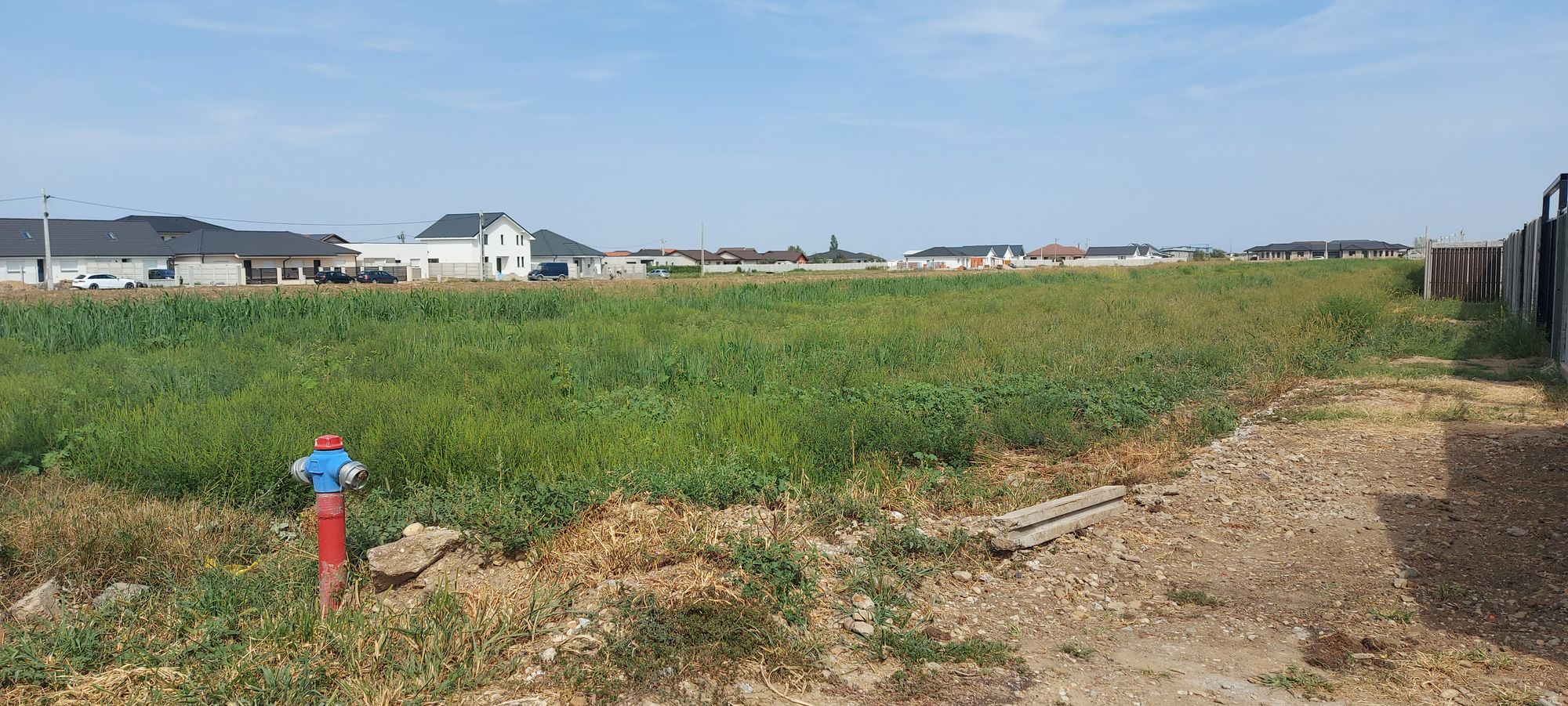 Ambrozie in Mihai Eminescu 47, Nojorid, Comuna Nojorid, Județul Bihor - 20240824_120750.jpg