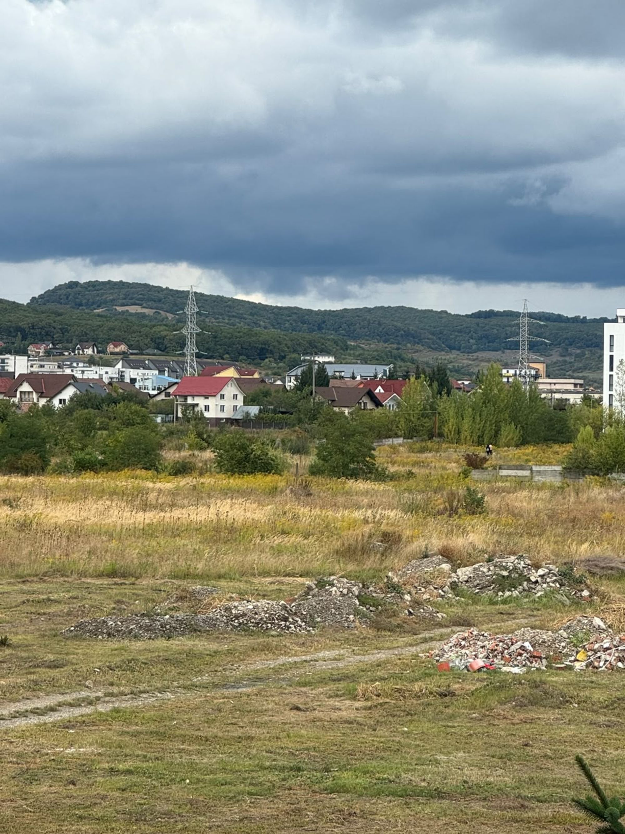 Ambrozie in Strada Aleea fanatanele , Bistrița, Municipiu Bistrița, Județul Bistrița-Năsăud