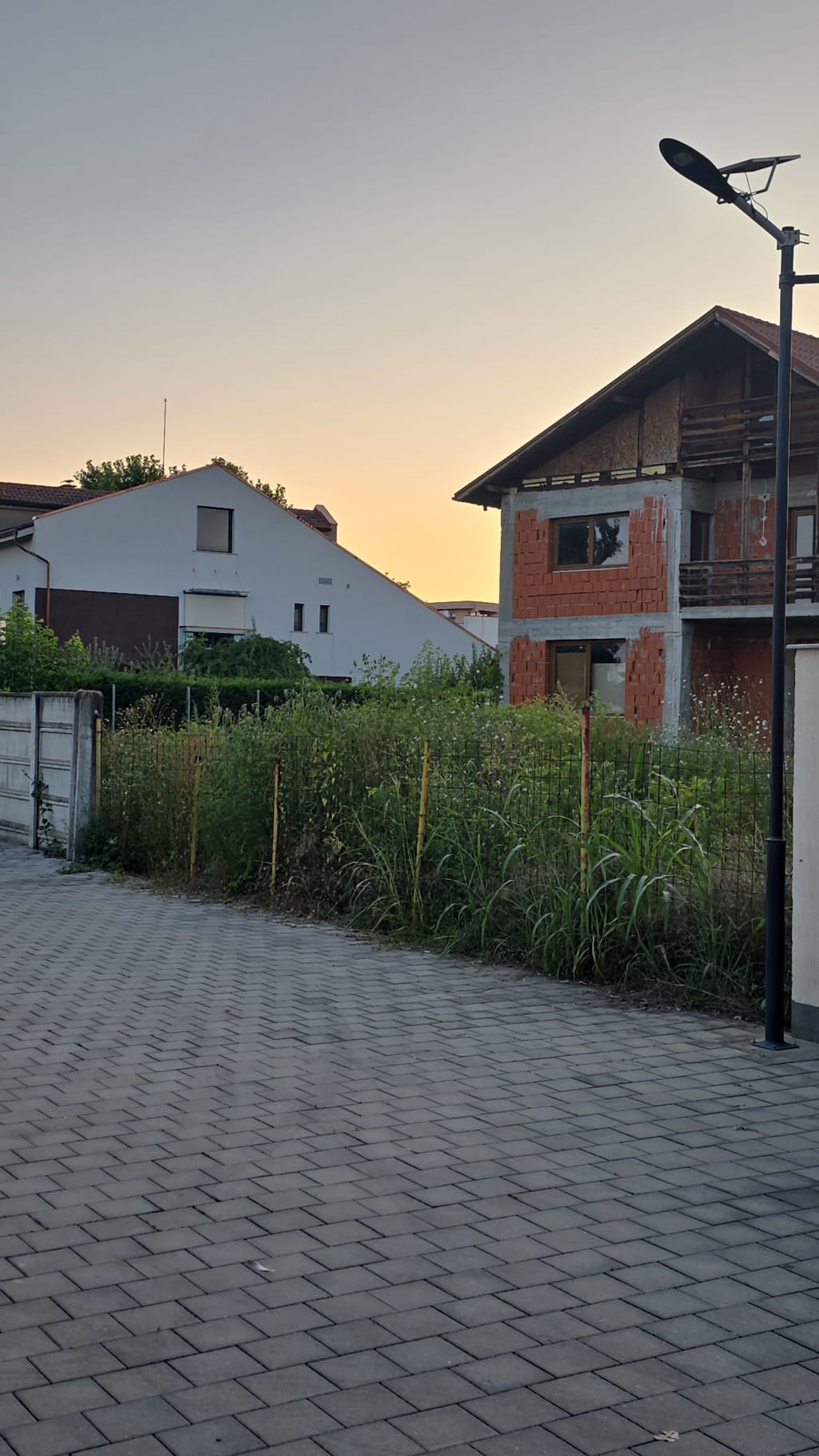 Ambrozie in Aleea Castanilor 74, Blejoi, Comuna Blejoi, Județul Prahova - IMG-20260803-WA0111.jpg