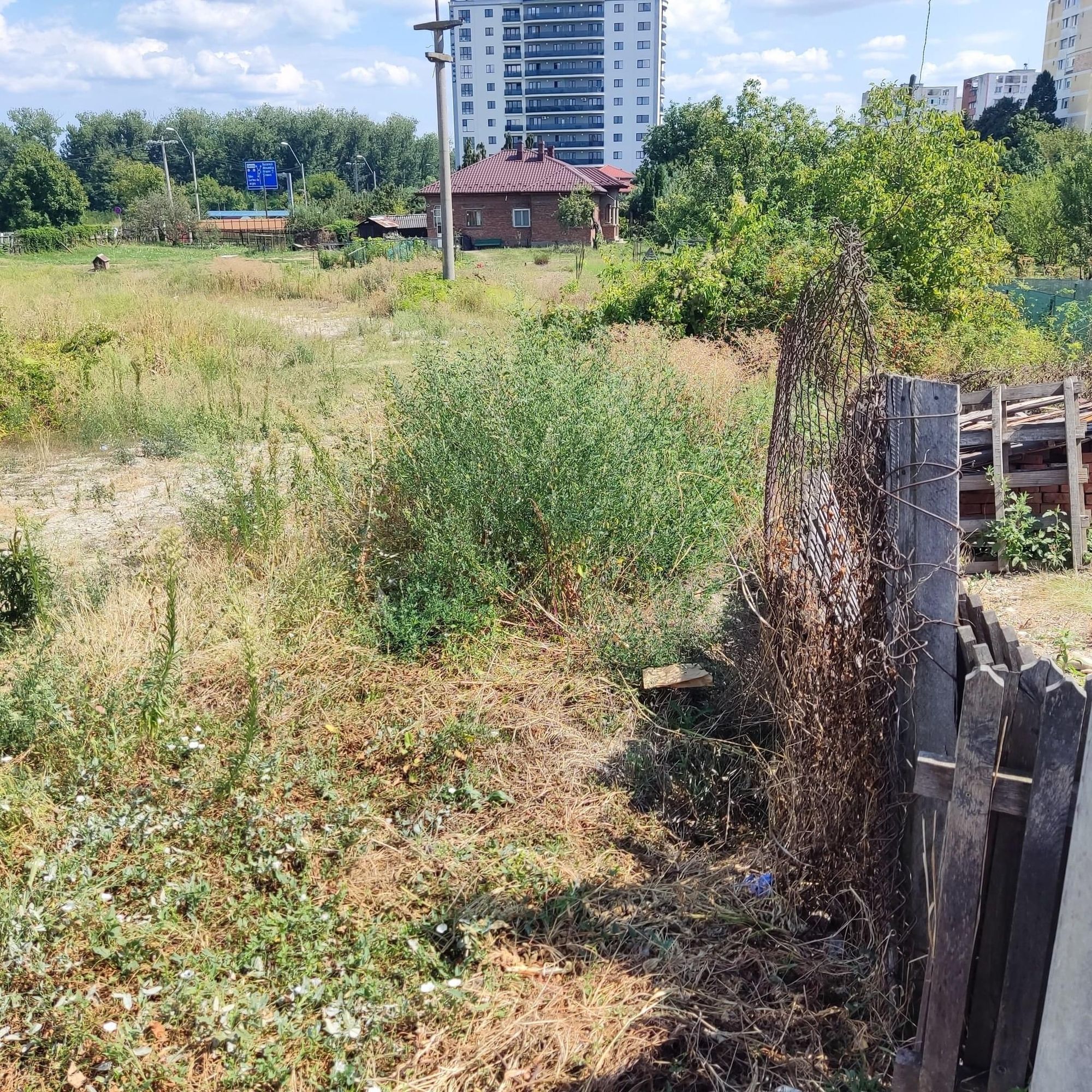 Ambrozie in Strada Depozitelor 4, Pitești, Municipiu Piteşti, Județul Argeș - 8DE399F1-3C17-450D-B9DD-741D66D04267.jpeg