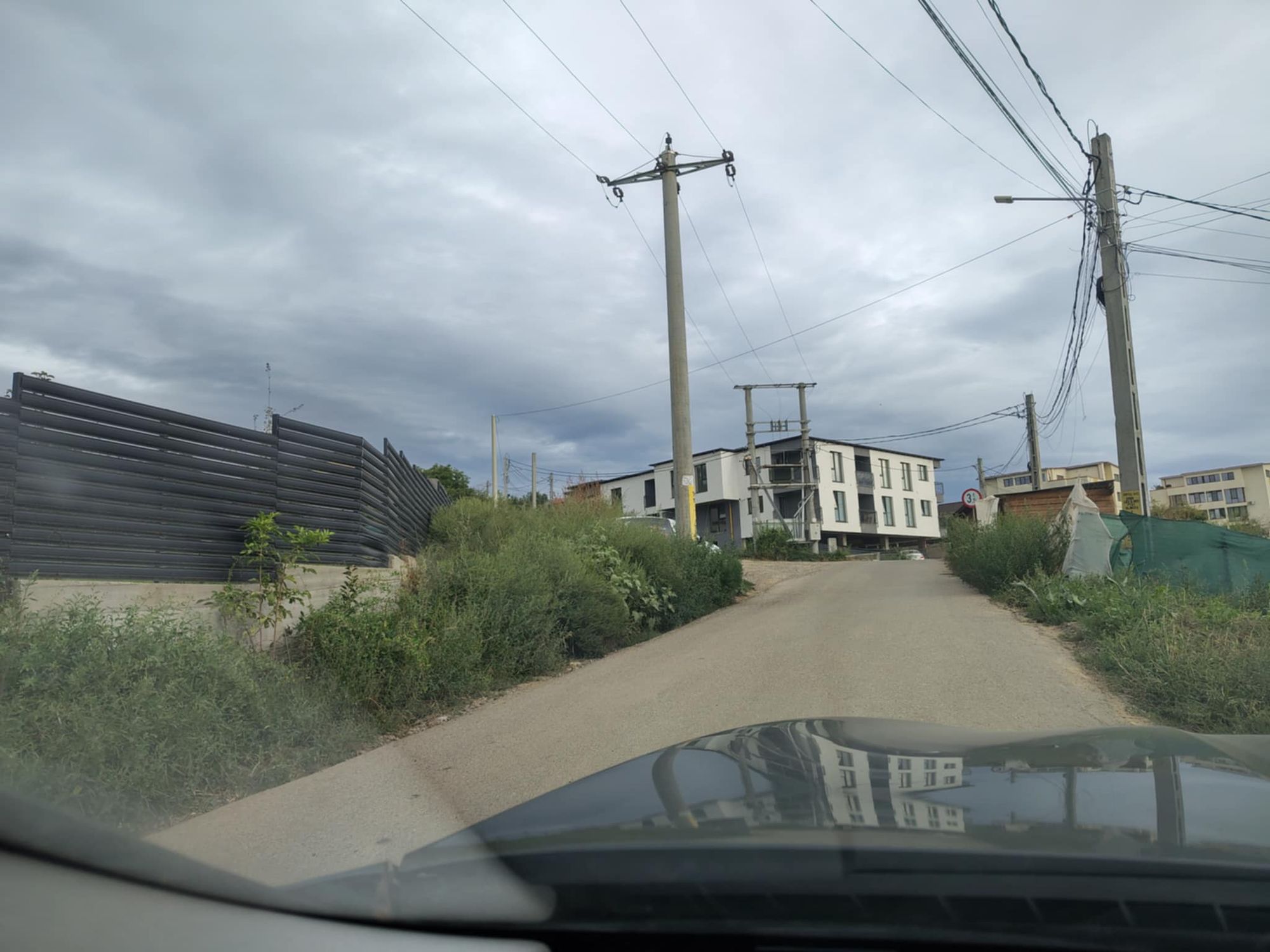 Ambrozie in Strada Ion Matei 31, Comuna Ciurea, Județul Iași