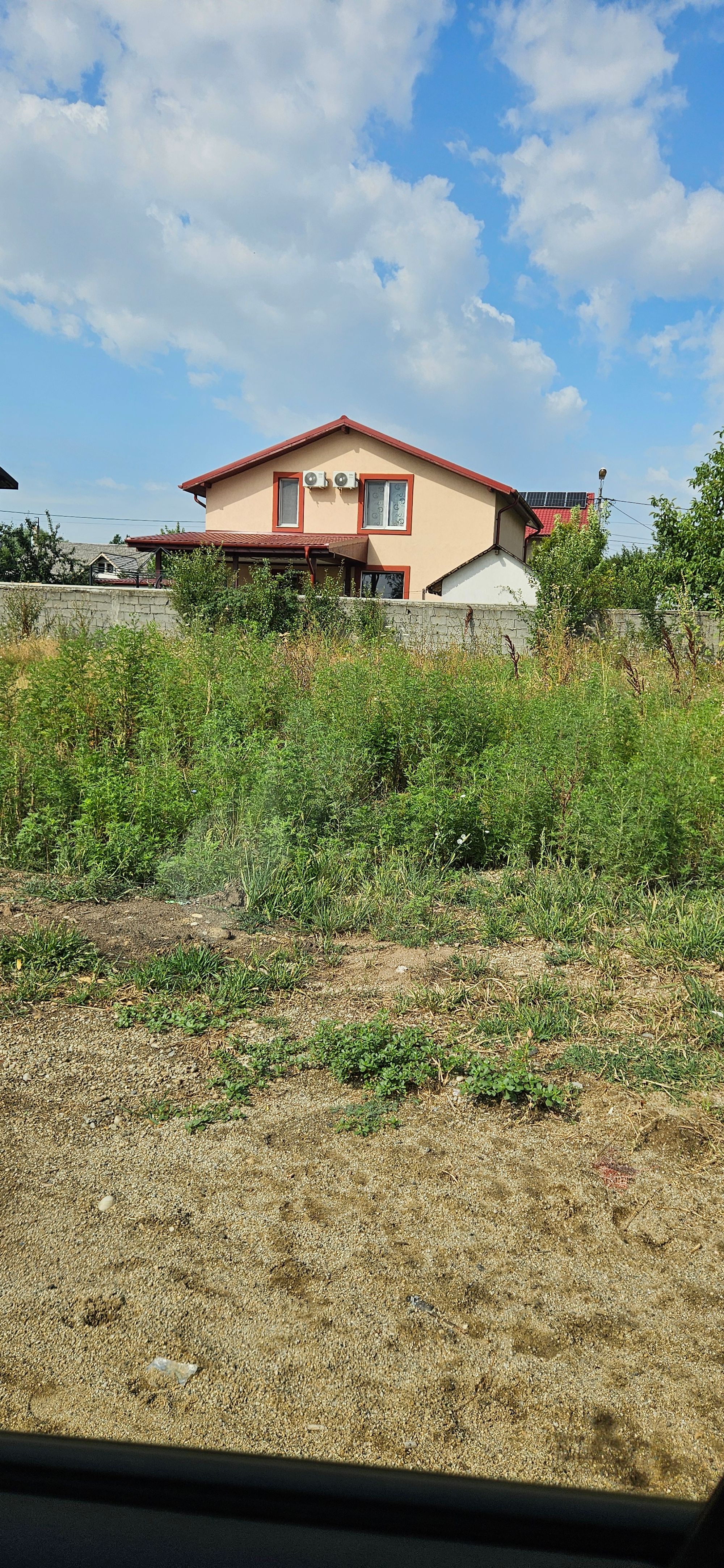 Ambrozie in Strada Diamantului 8, Domnești, Comuna Domnești, Județul Ilfov - 20250731_100811.jpg