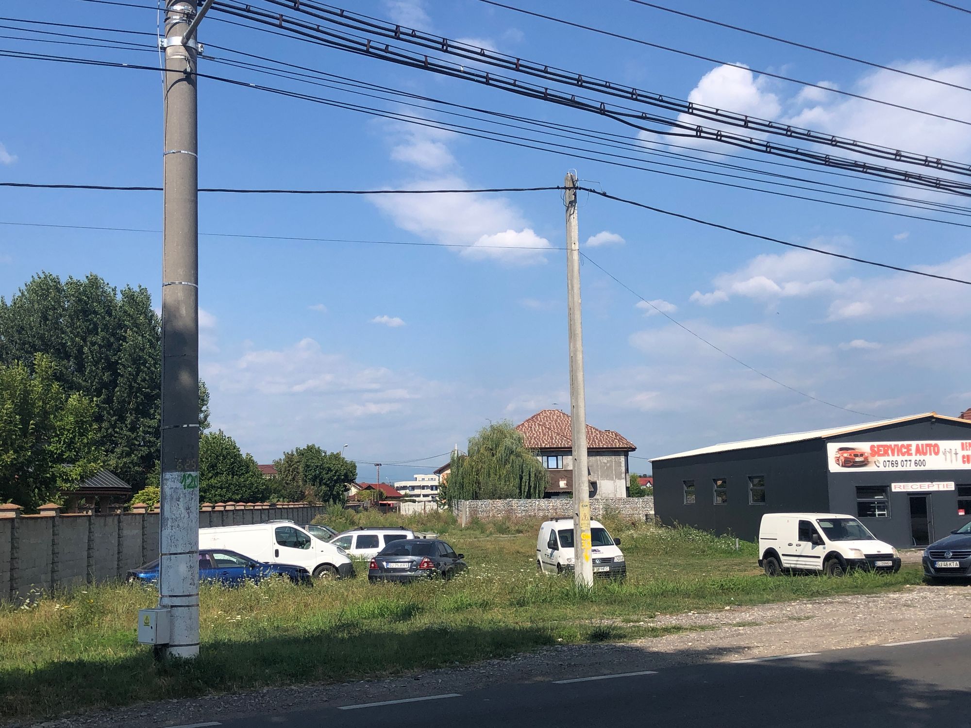 Ambrozie in Strada Tismana 17, Târgu Jiu, Municipiu Târgu Jiu, Județul Gorj - 1D8D634B-539C-4F98-B23D-49D93CB3F6F8.jpeg