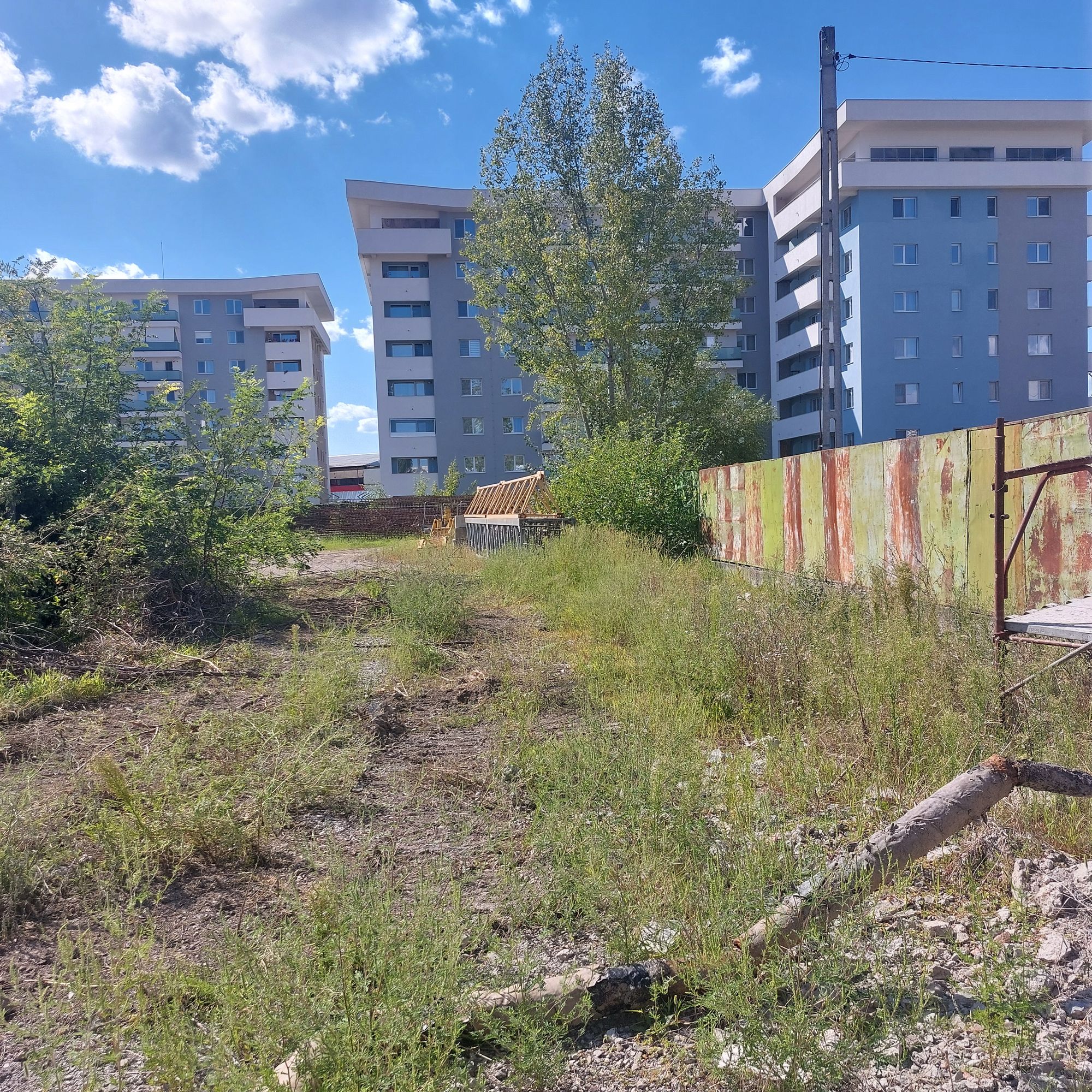 Ambrozie in Strada Rampei 9, Iași, Municipiu Iaşi, Județul Iași - inbound540067799262430462.jpg