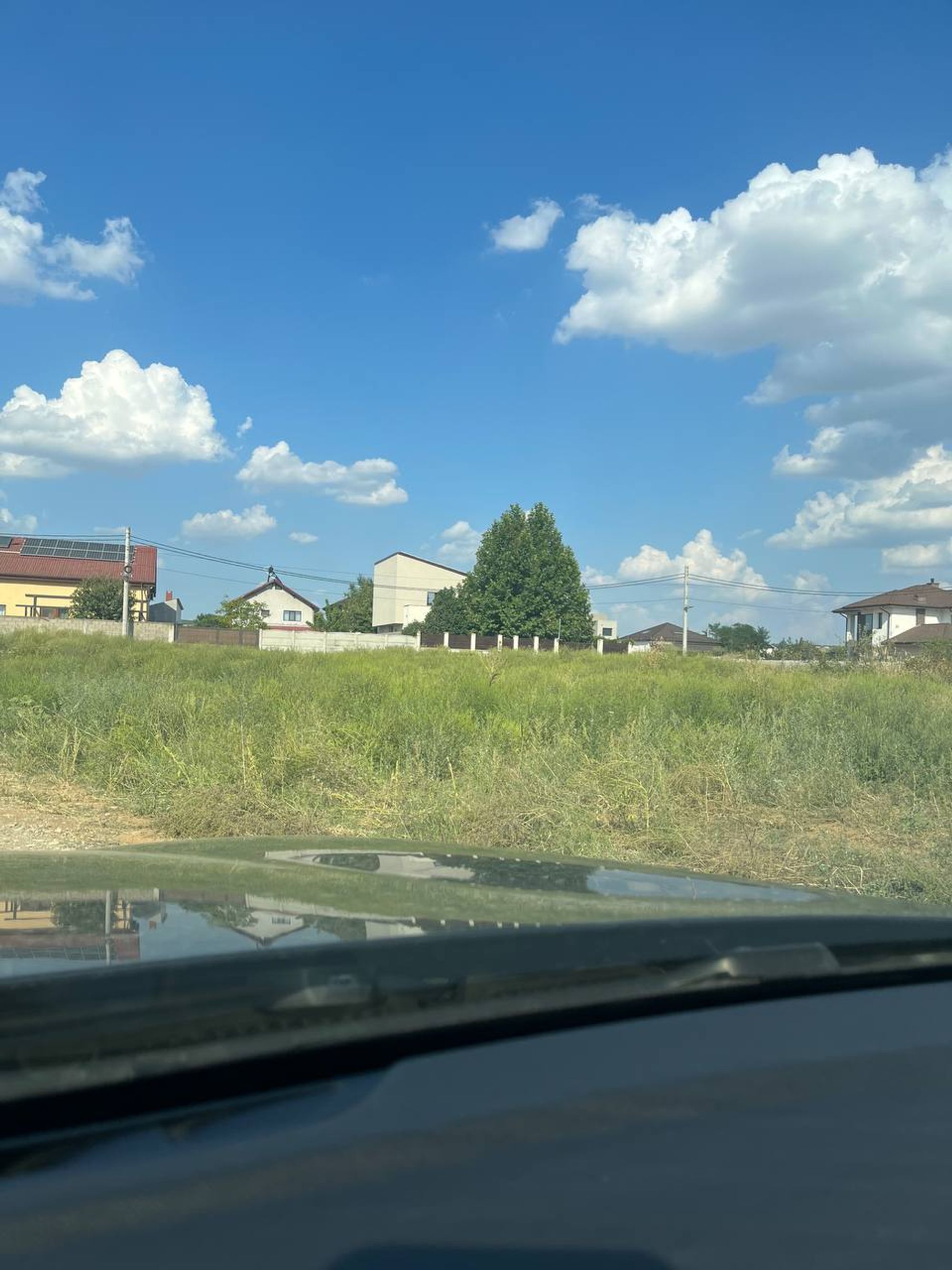 Ambrozie in Aleea 2 Pinului 5, Comuna Malu Mare, Județul Dolj - BE0D6BD4-F084-4BF5-94F9-689C8A2025ED.jpeg