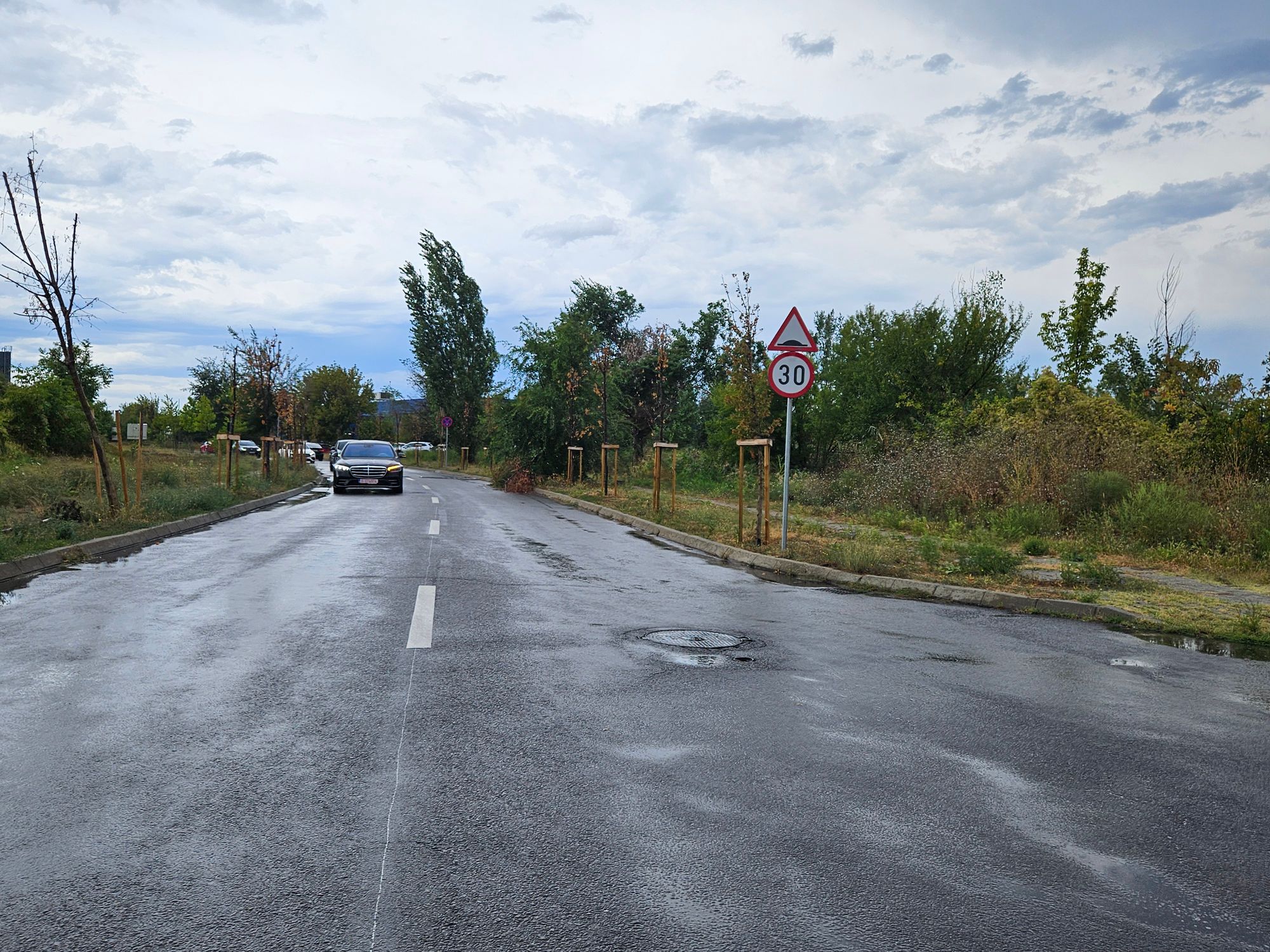 Ambrozie in București, Municipiul București - inbound7766409551721475284.jpg