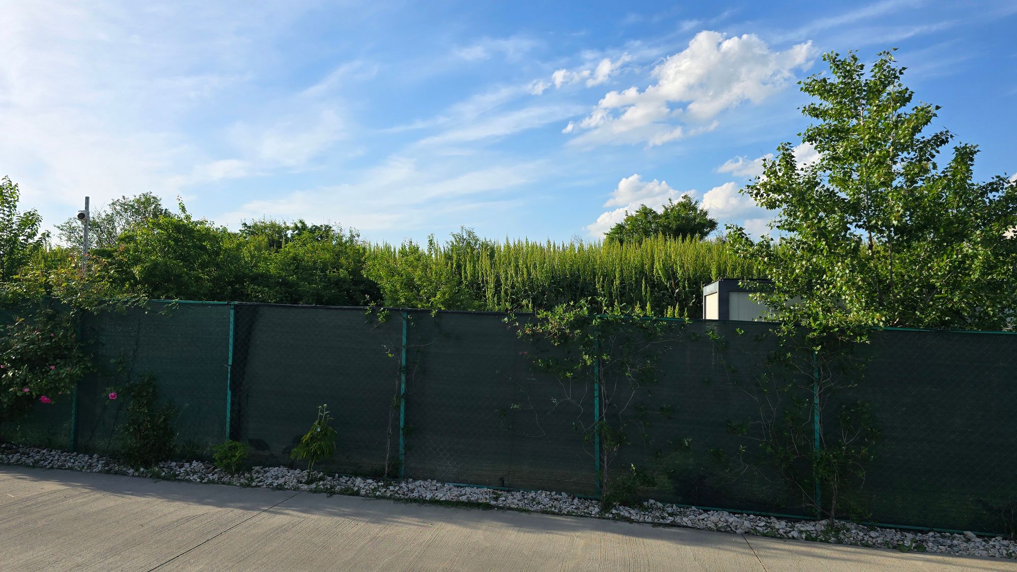 Ambrozie in Strada Piscul Crăsani 69, București, Municipiul București